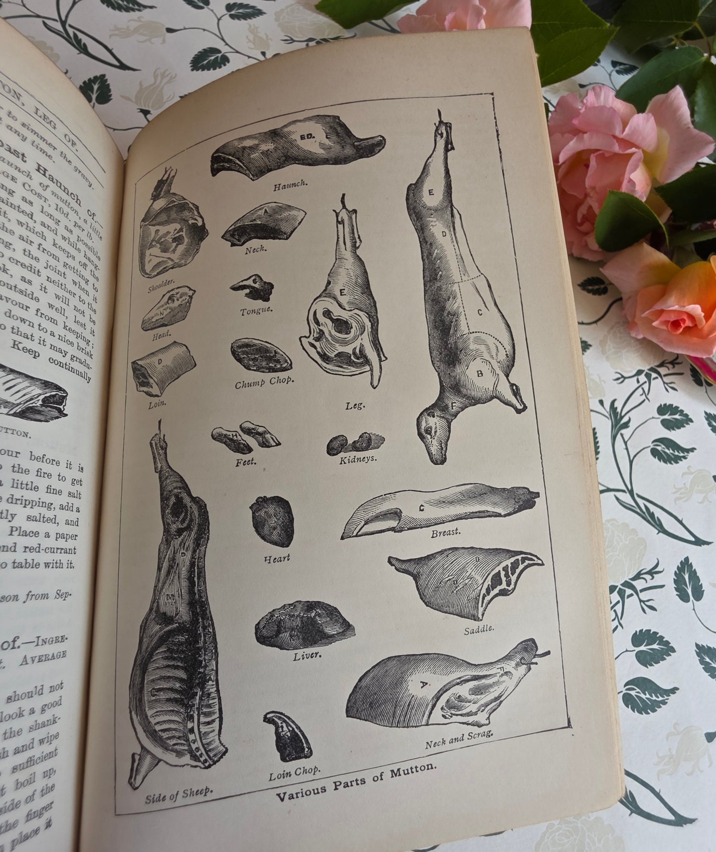 1891 Mrs Beeton's Every Day Cookery and Housekeeping Book - Illustrated Antique Book