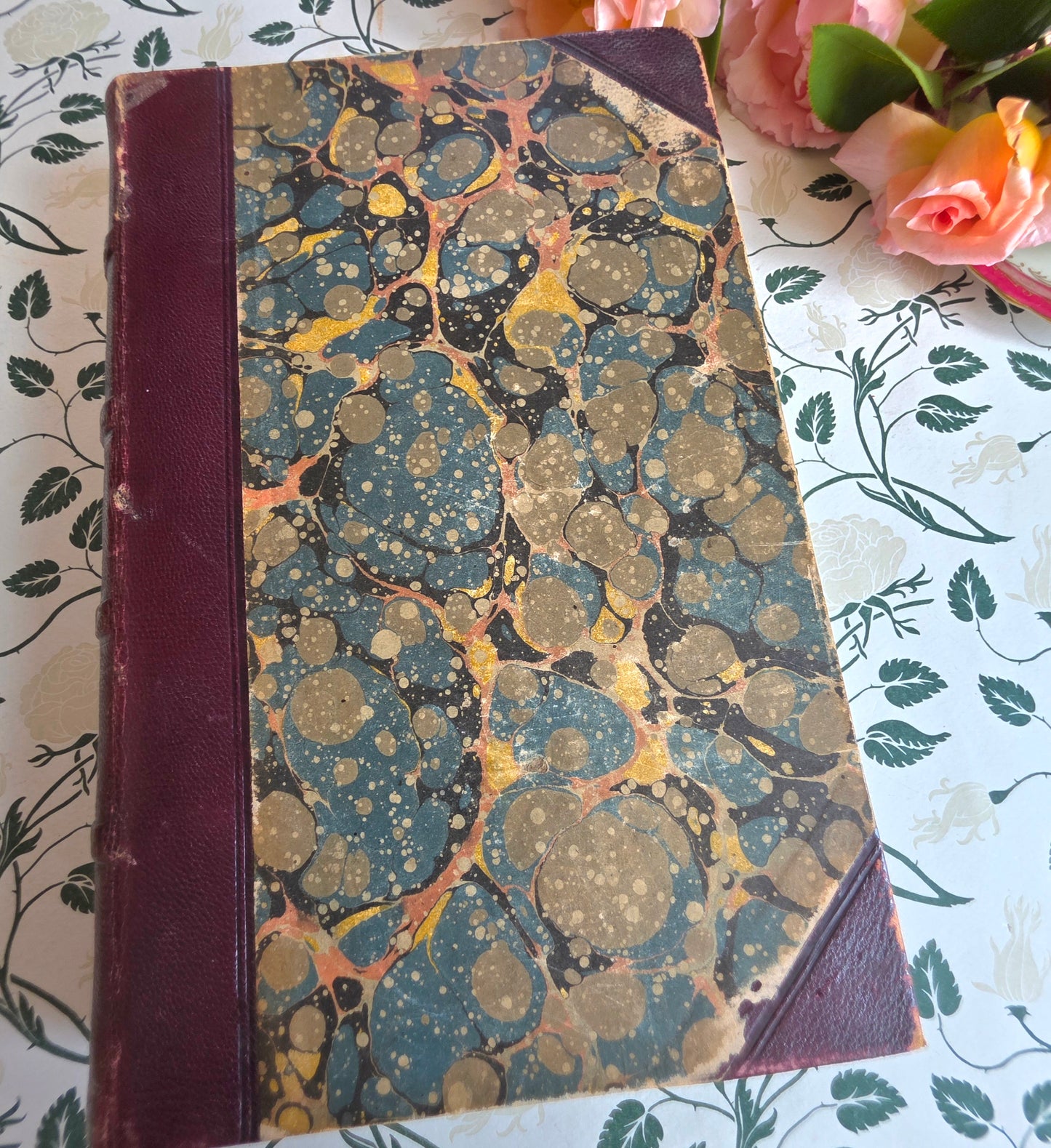 1840 A History of the Earth and Animated Nature by Oliver Goldsmith - Richly Illustrated Antique Book