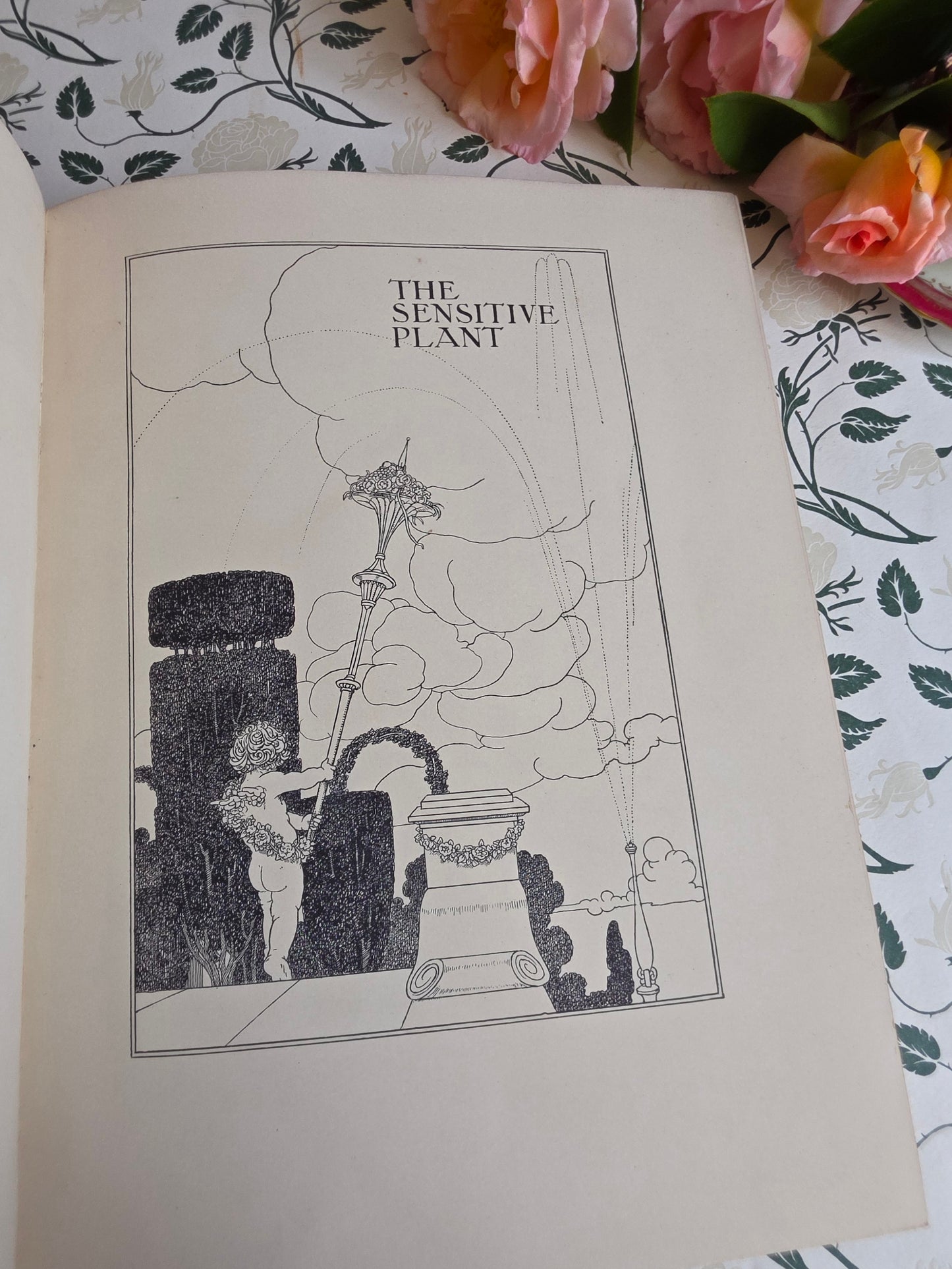 1911 The Sensitive Plant by Percy Bysshe Shelley - Deluxe Full Vellum Antique Book - Illustrated