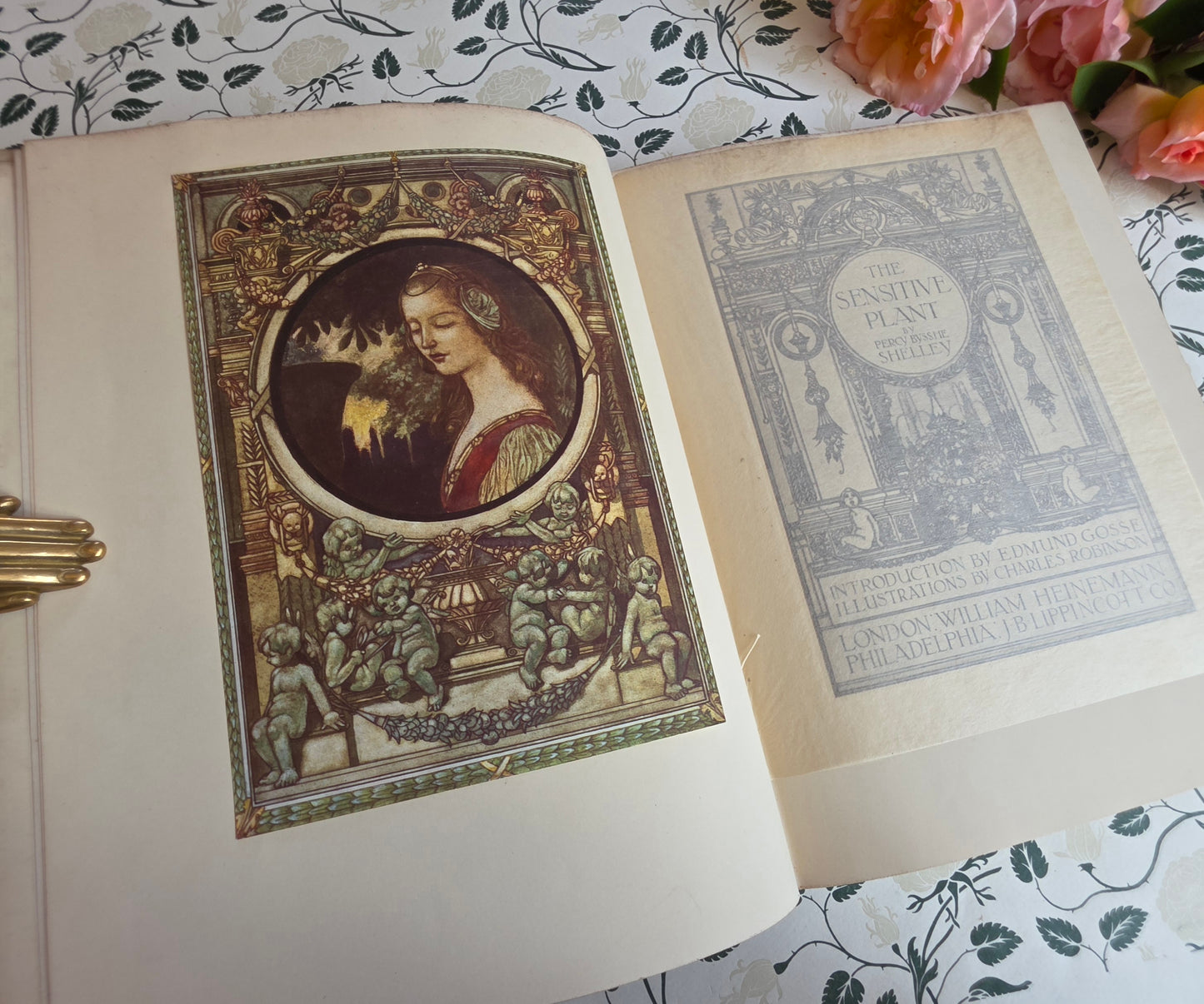 1911 The Sensitive Plant by Percy Bysshe Shelley - Deluxe Full Vellum Antique Book - Illustrated