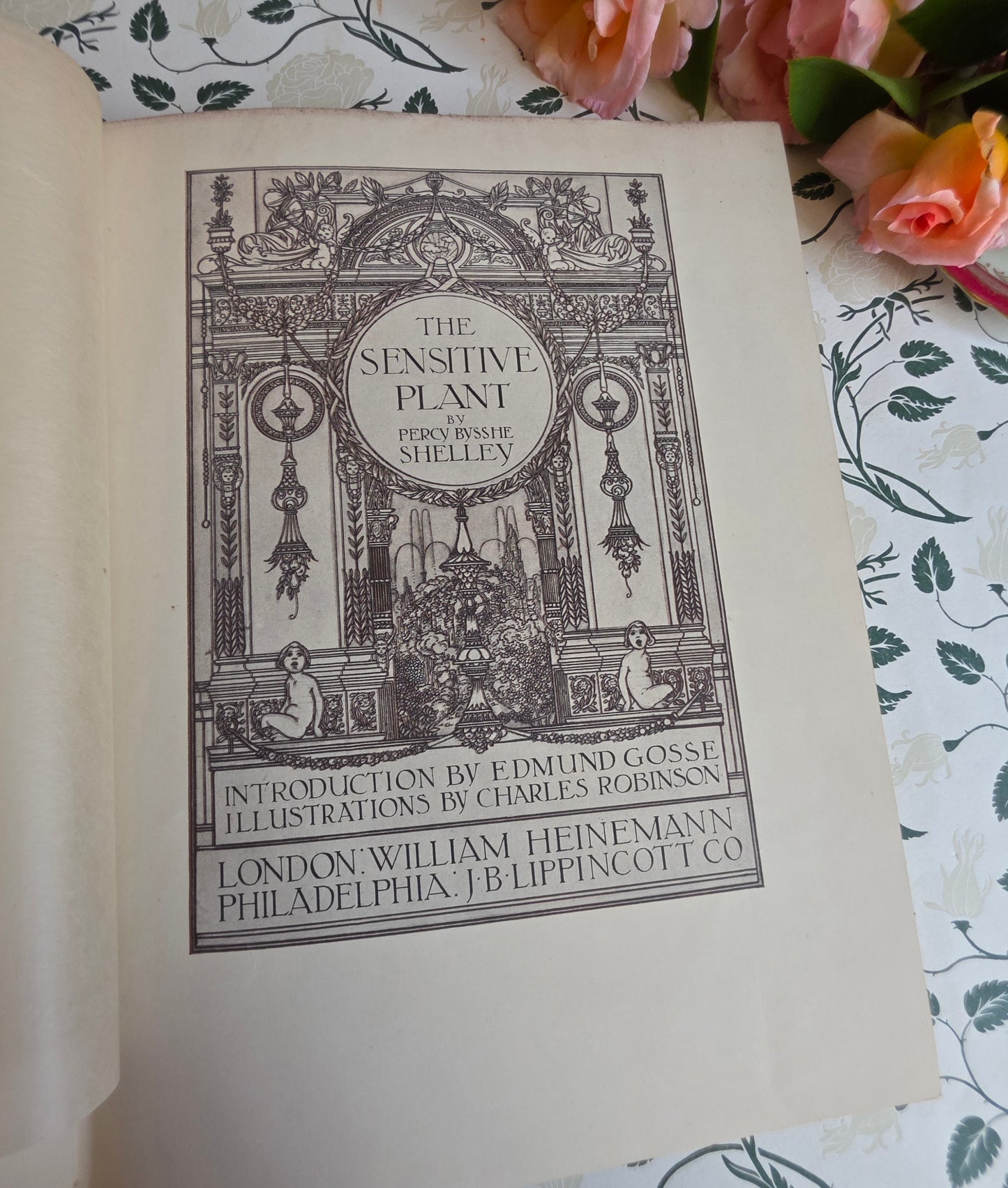 1911 The Sensitive Plant by Percy Bysshe Shelley - Deluxe Full Vellum Antique Book - Illustrated