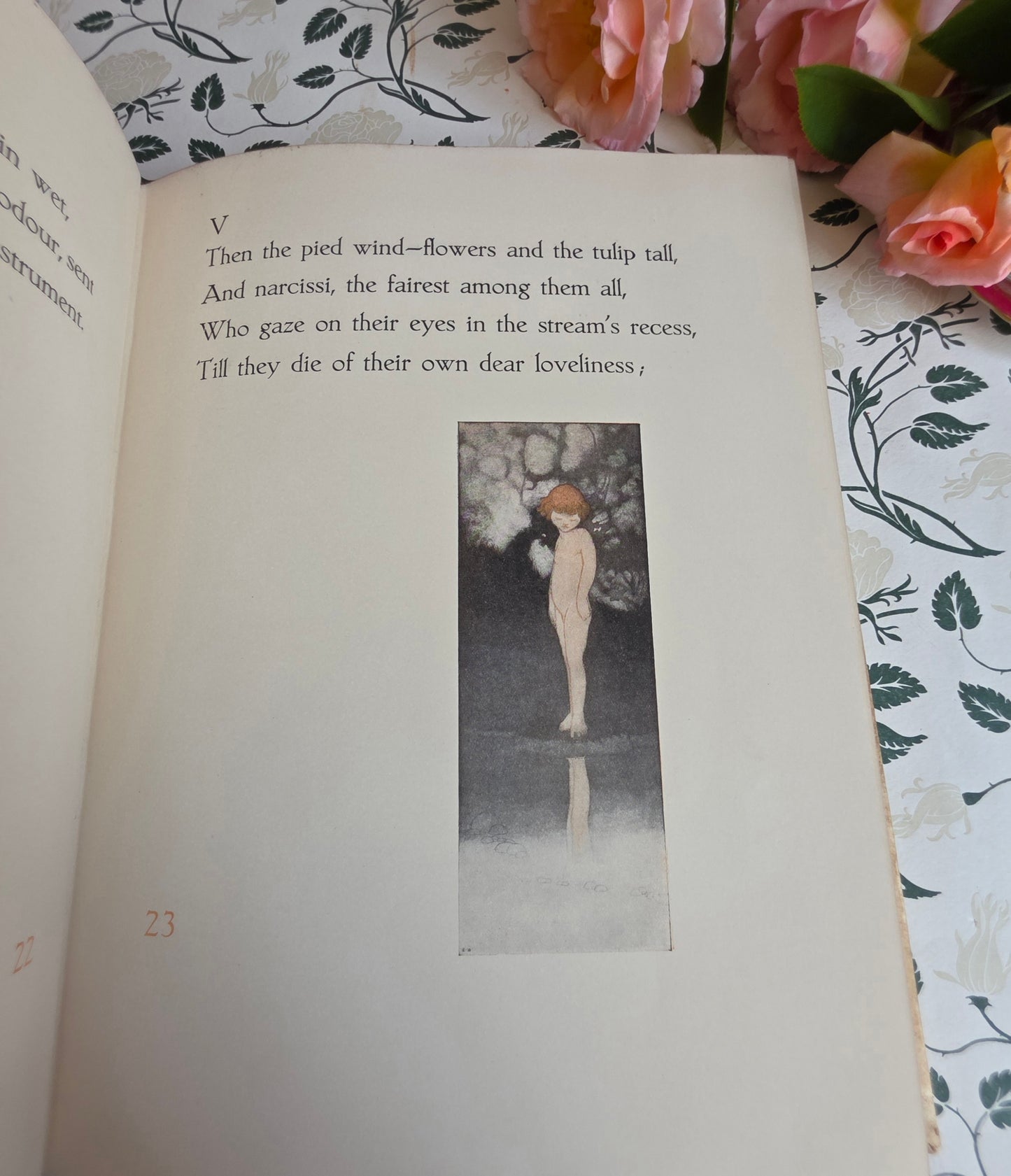 1911 The Sensitive Plant by Percy Bysshe Shelley - Deluxe Full Vellum Antique Book - Illustrated