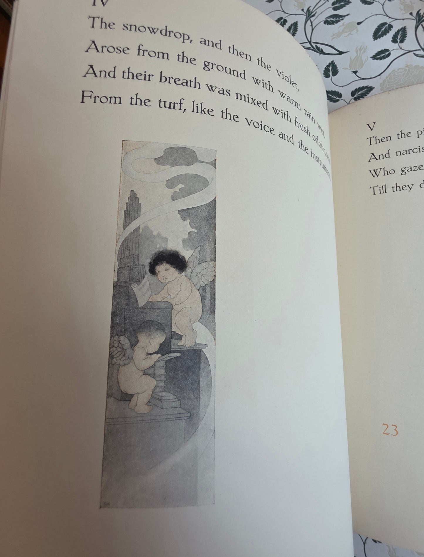 1911 The Sensitive Plant by Percy Bysshe Shelley - Deluxe Full Vellum Antique Book - Illustrated