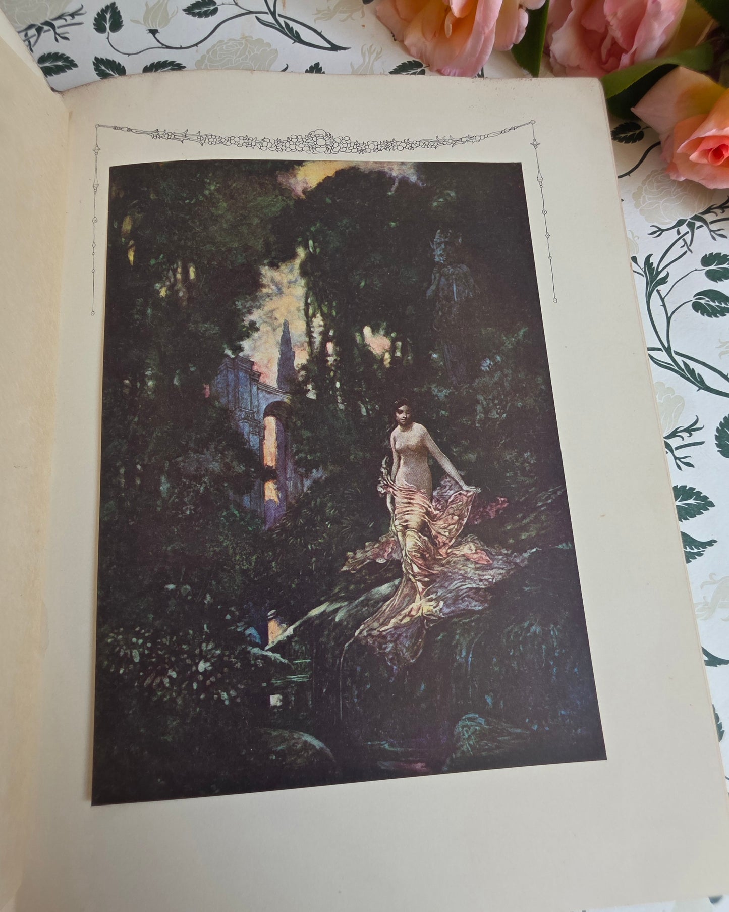 1911 The Sensitive Plant by Percy Bysshe Shelley - Deluxe Full Vellum Antique Book - Illustrated