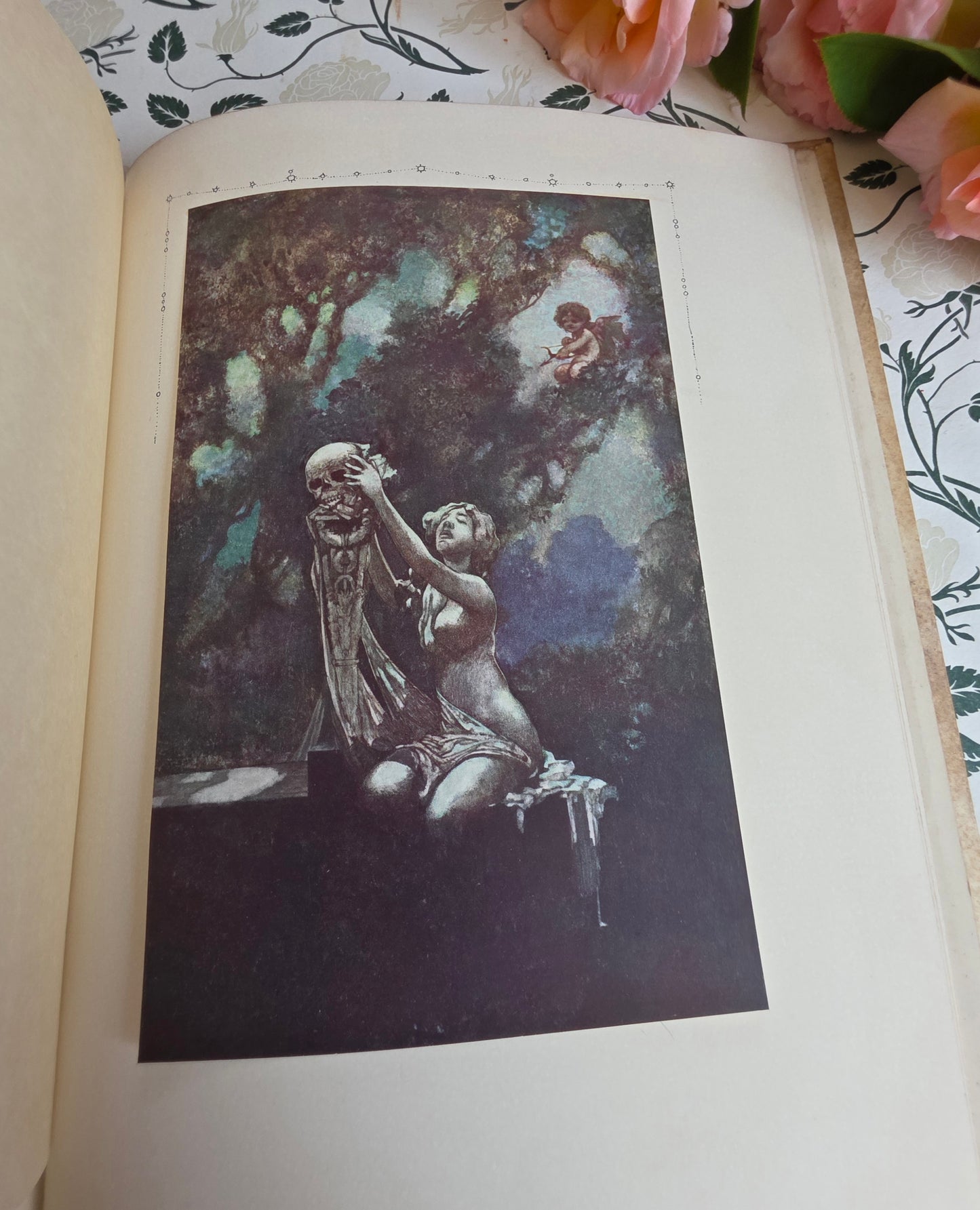 1911 The Sensitive Plant by Percy Bysshe Shelley - Deluxe Full Vellum Antique Book - Illustrated