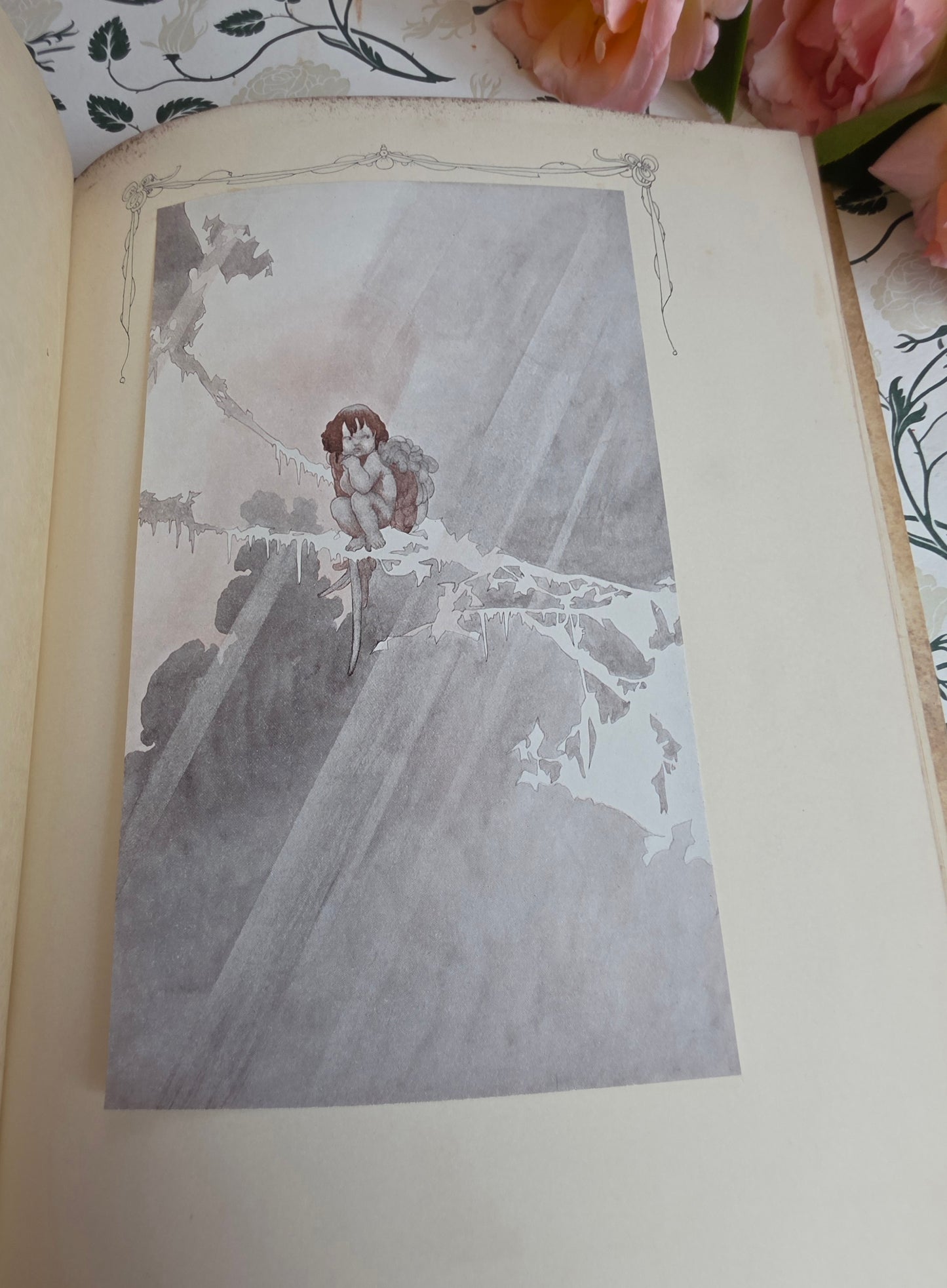 1911 The Sensitive Plant by Percy Bysshe Shelley - Deluxe Full Vellum Antique Book - Illustrated