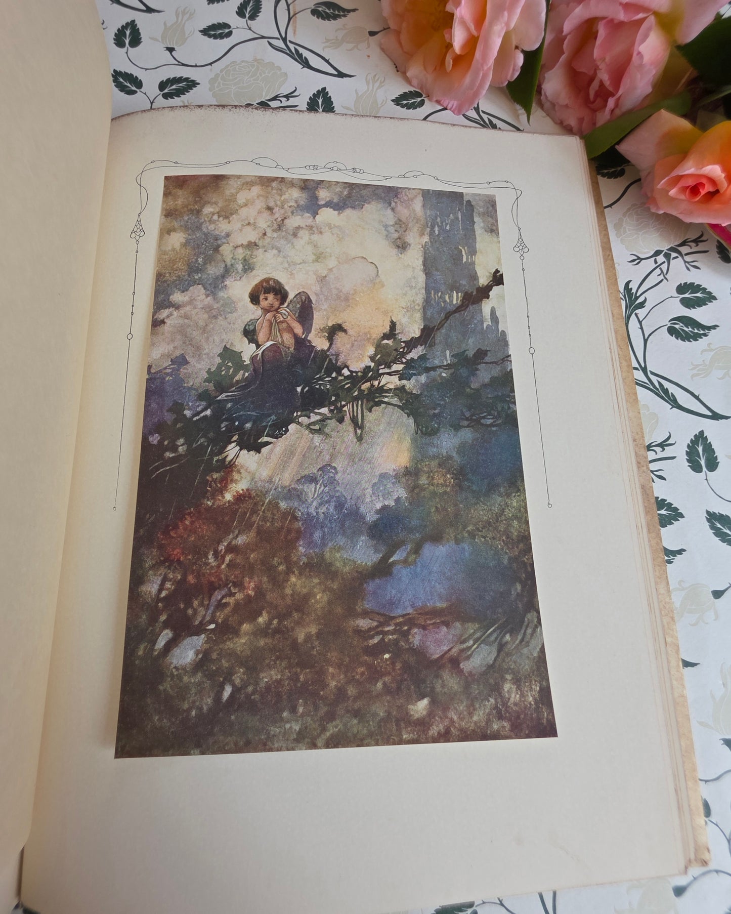 1911 The Sensitive Plant by Percy Bysshe Shelley - Deluxe Full Vellum Antique Book - Illustrated