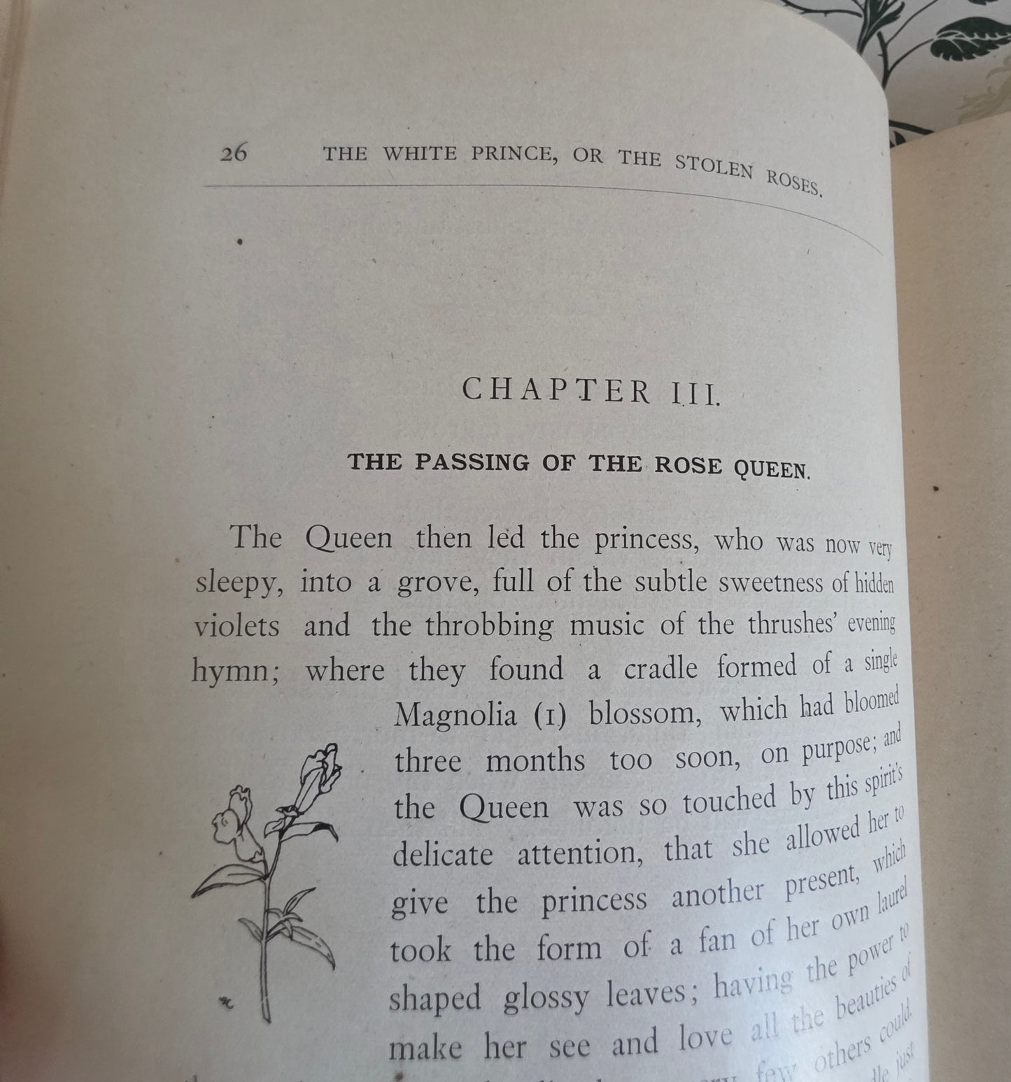 RARE 1902 The White Prince of the Stolen Roses - A Story of Flowerland by Kate Stanway - Illustrated Antique Book