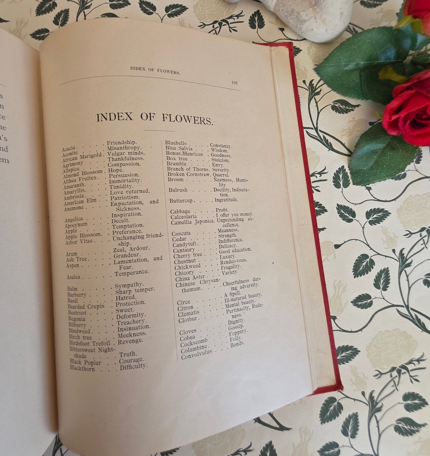 RARE 1902 The White Prince of the Stolen Roses - A Story of Flowerland by Kate Stanway - Illustrated Antique Book