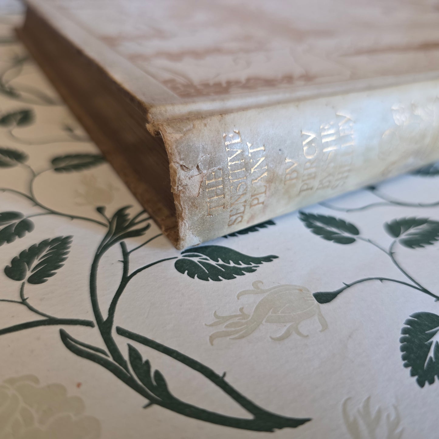 1911 The Sensitive Plant by Percy Bysshe Shelley - Deluxe Full Vellum Antique Book - Illustrated