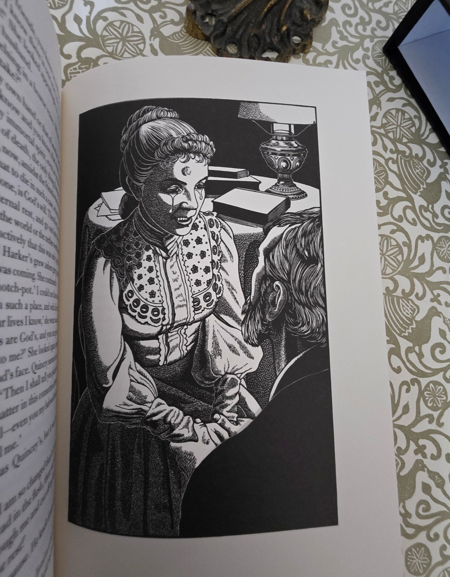 2009 Dracula by Bram Stoker - Collectible Hardback Book in Slipcase - Illustrated