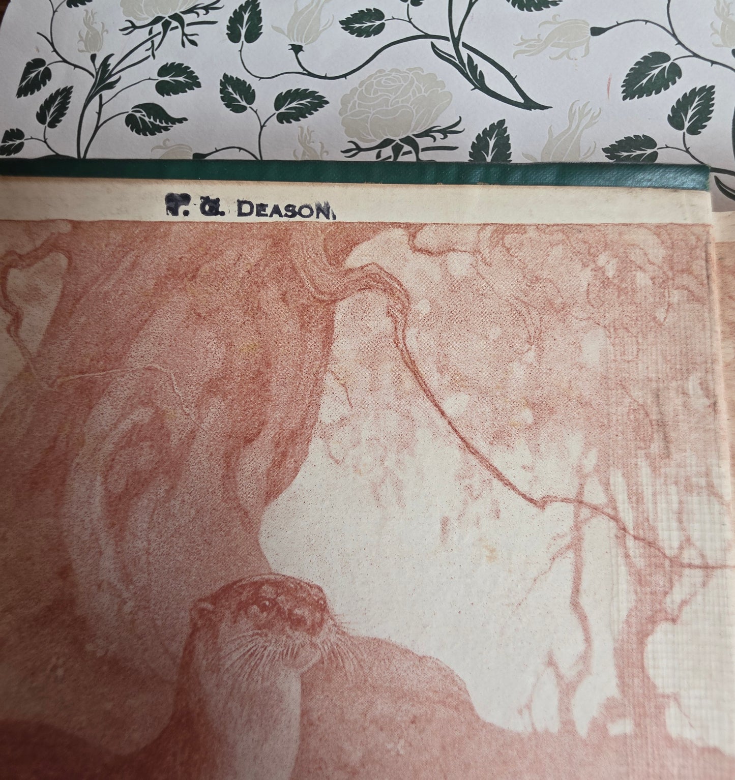 1913 The Wind in the Willows by Kenneth Grahame - First Illustrated Edition