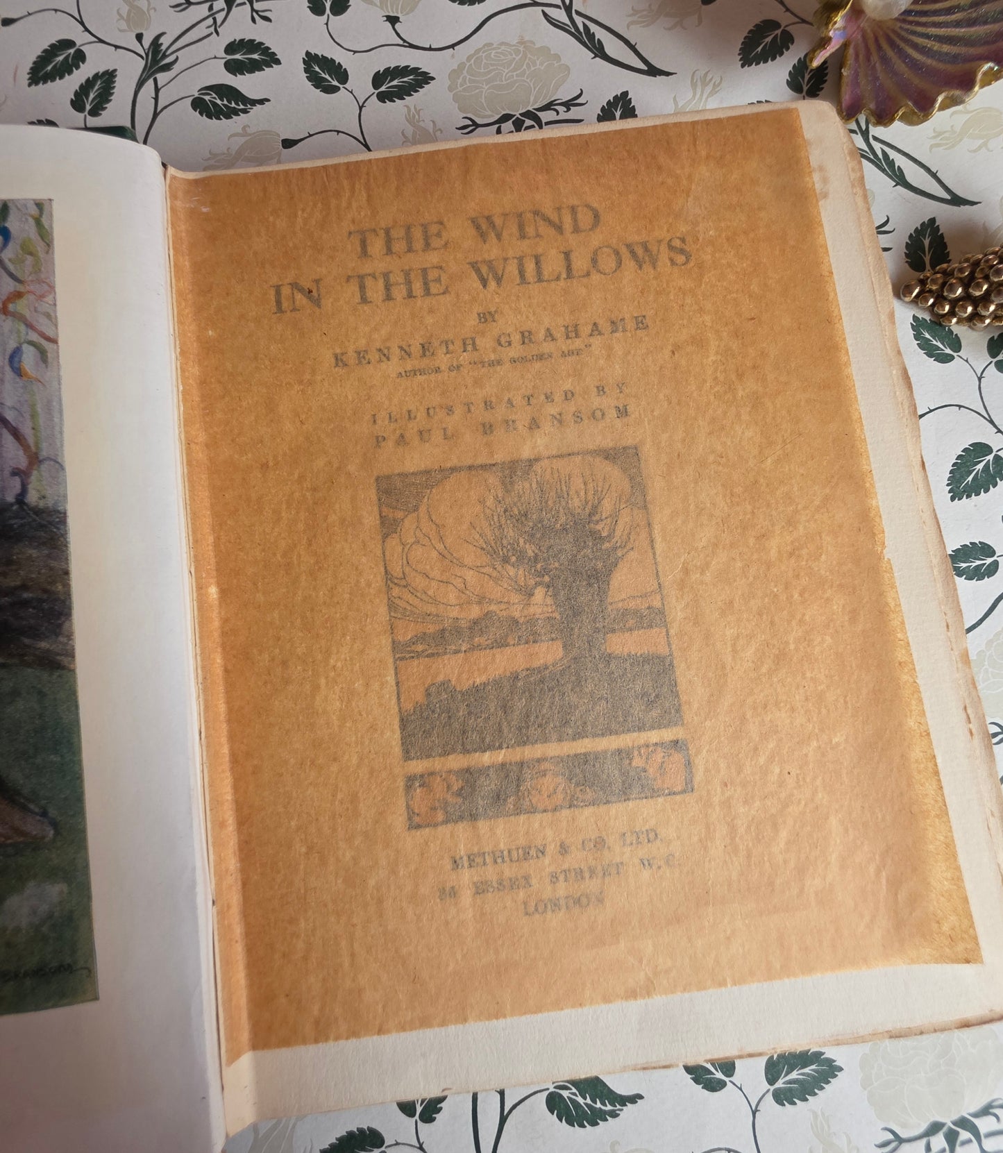 1913 The Wind in the Willows by Kenneth Grahame - First Illustrated Edition