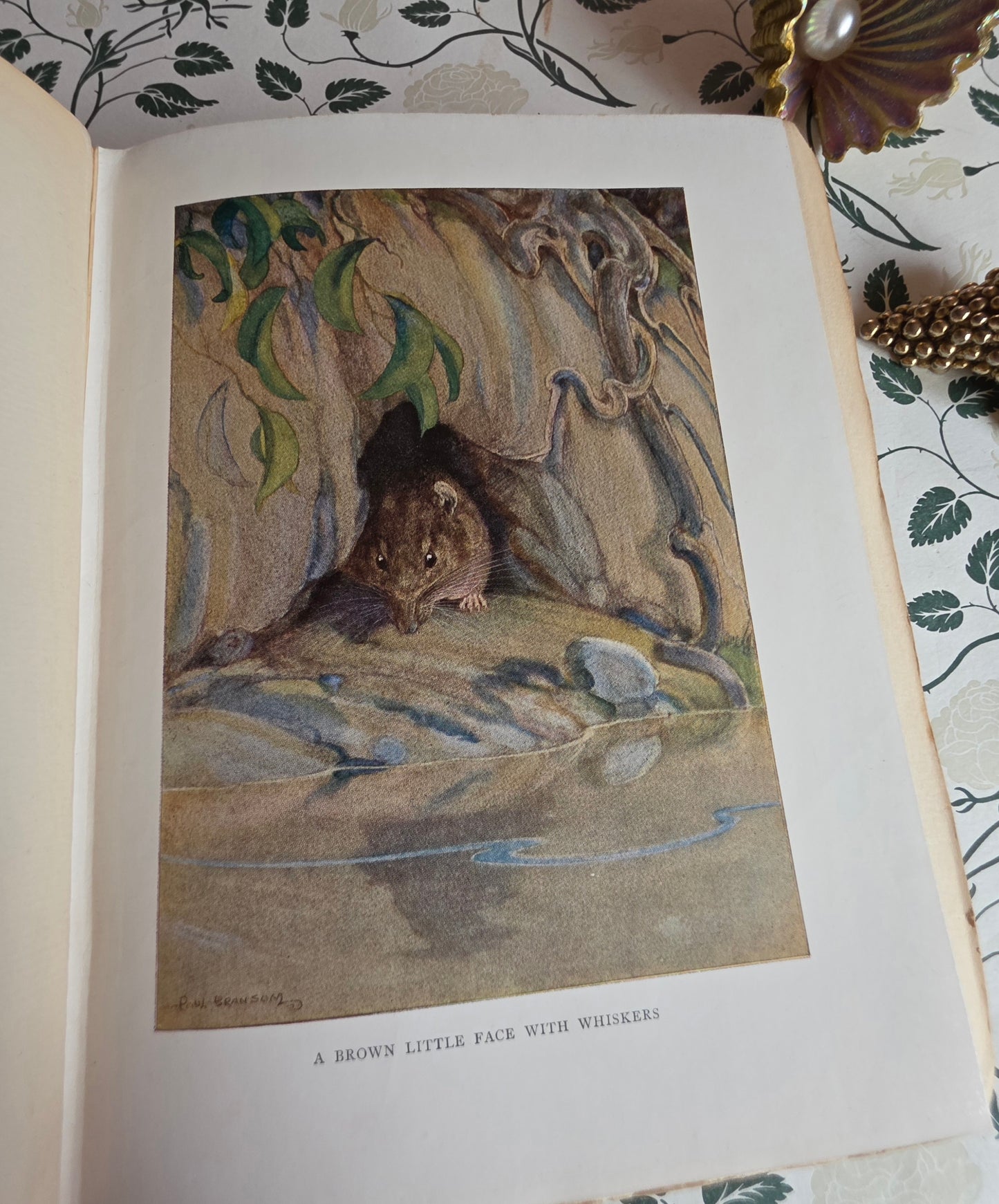1913 The Wind in the Willows by Kenneth Grahame - First Illustrated Edition