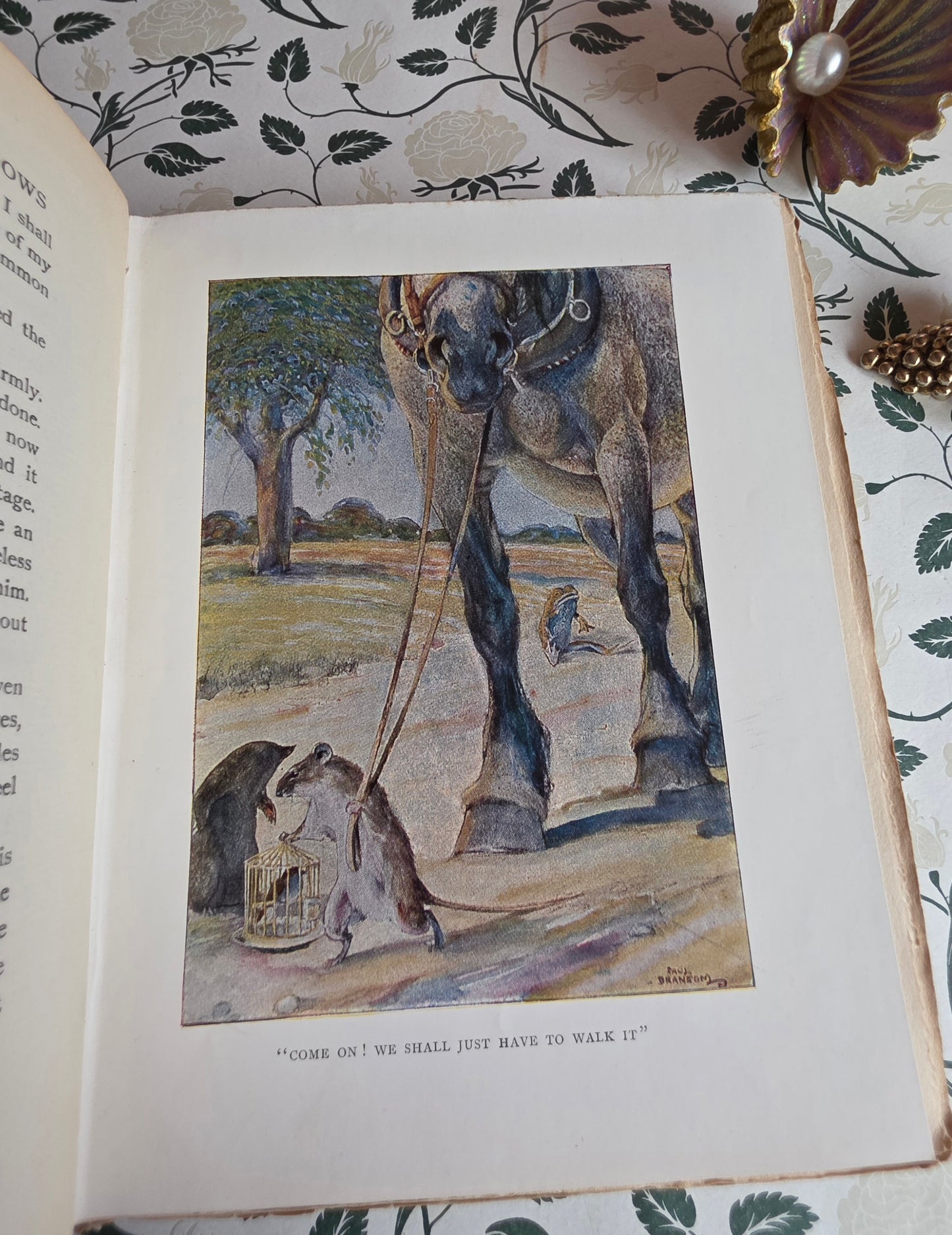 1913 The Wind in the Willows by Kenneth Grahame - First Illustrated Edition