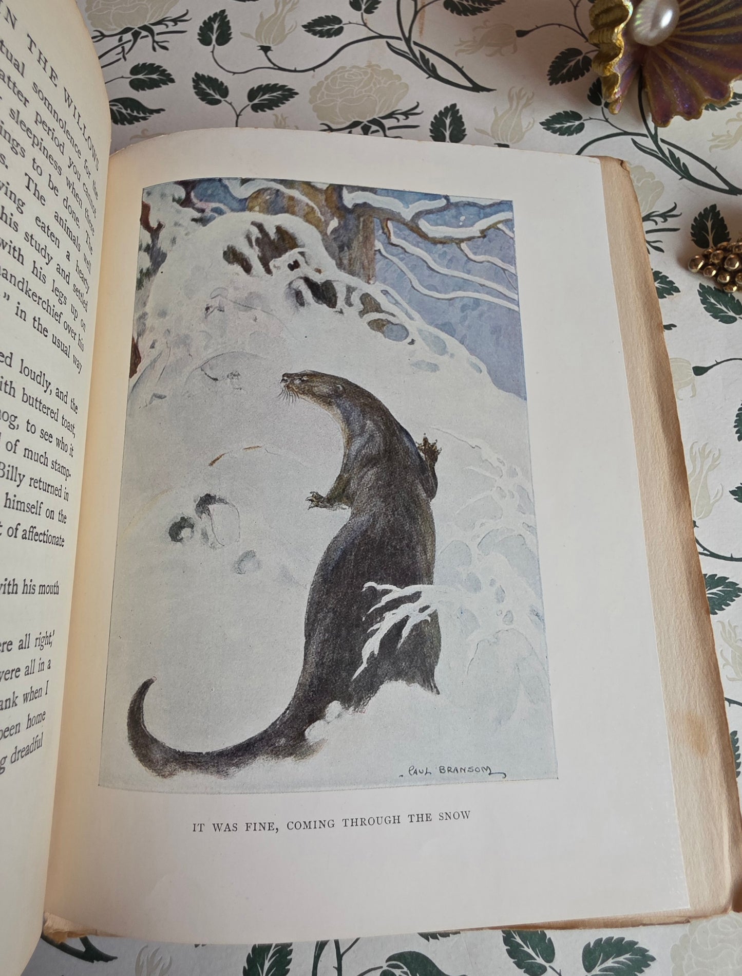 1913 The Wind in the Willows by Kenneth Grahame - First Illustrated Edition