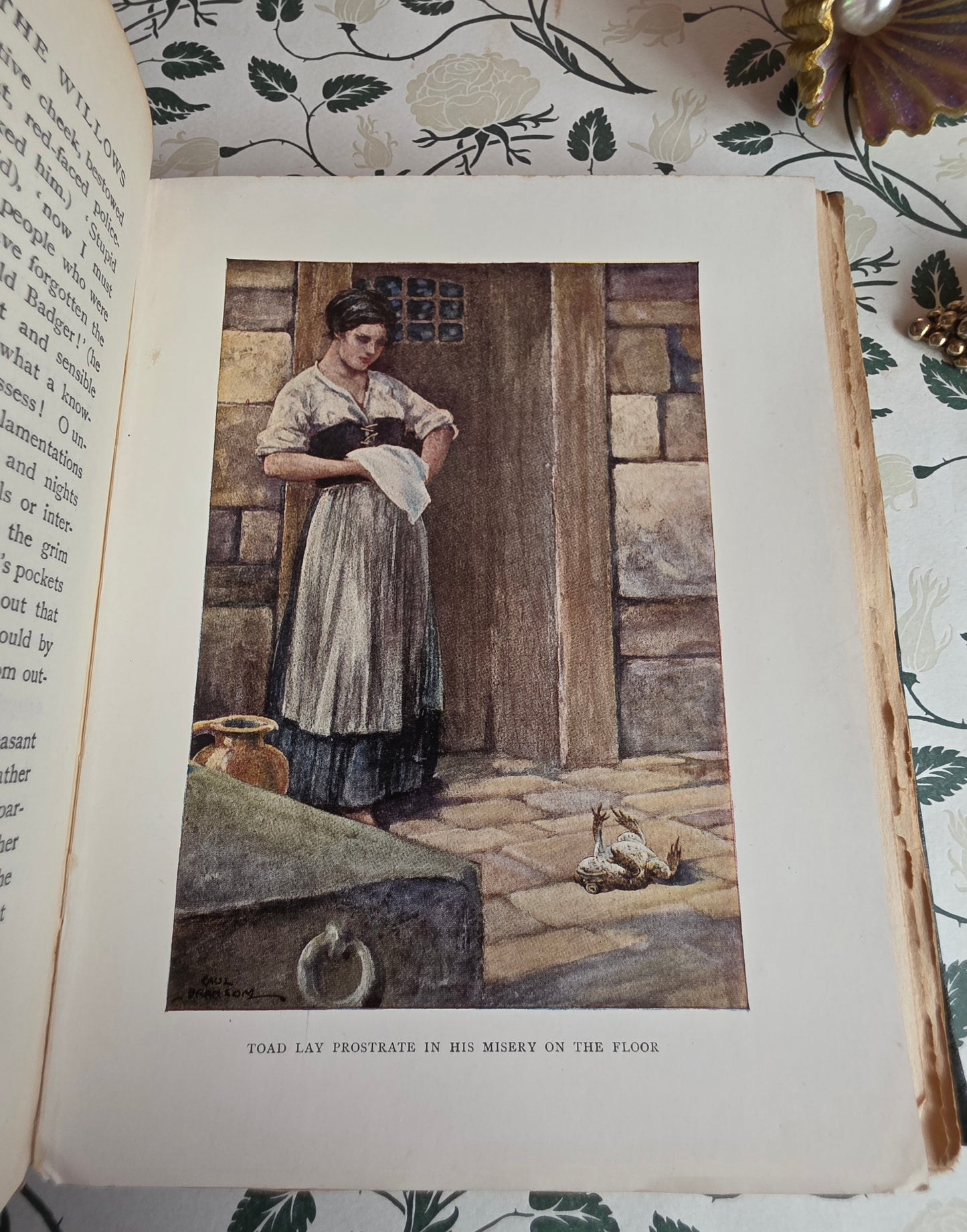 1913 The Wind in the Willows by Kenneth Grahame - First Illustrated Edition