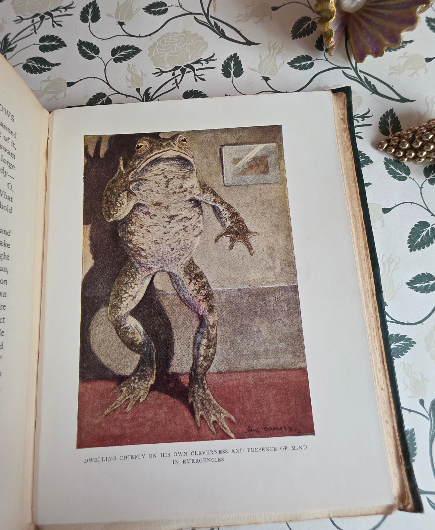 1913 The Wind in the Willows by Kenneth Grahame - First Illustrated Edition