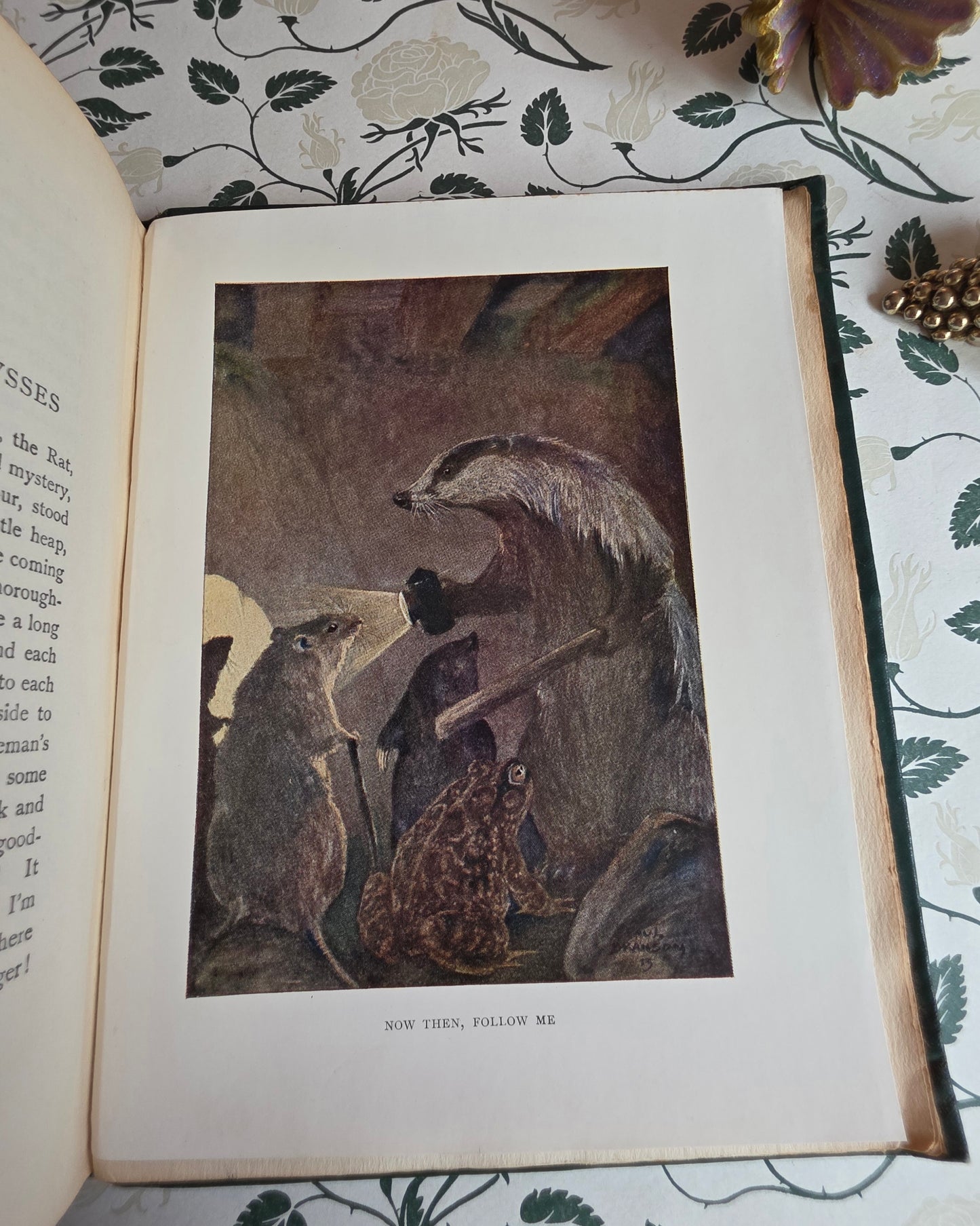 1913 The Wind in the Willows by Kenneth Grahame - First Illustrated Edition