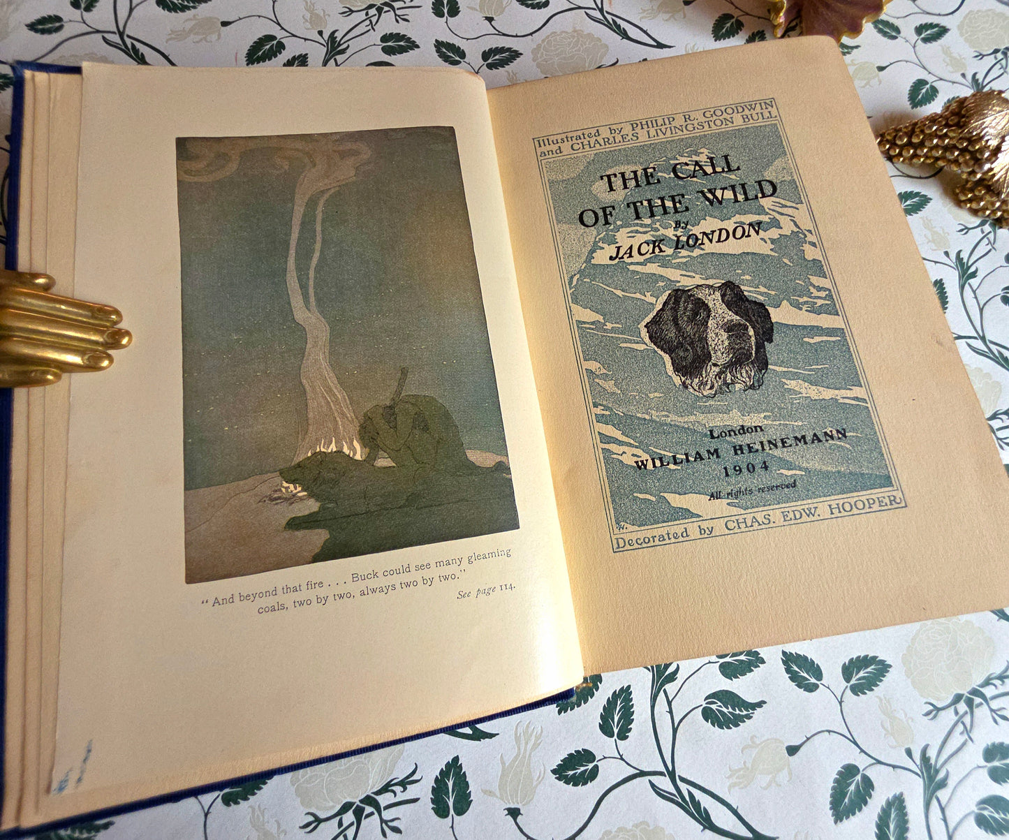 1903 The Call of The Wild by Jack London - SCARCE Early Edition - Illustrated Antique Book
