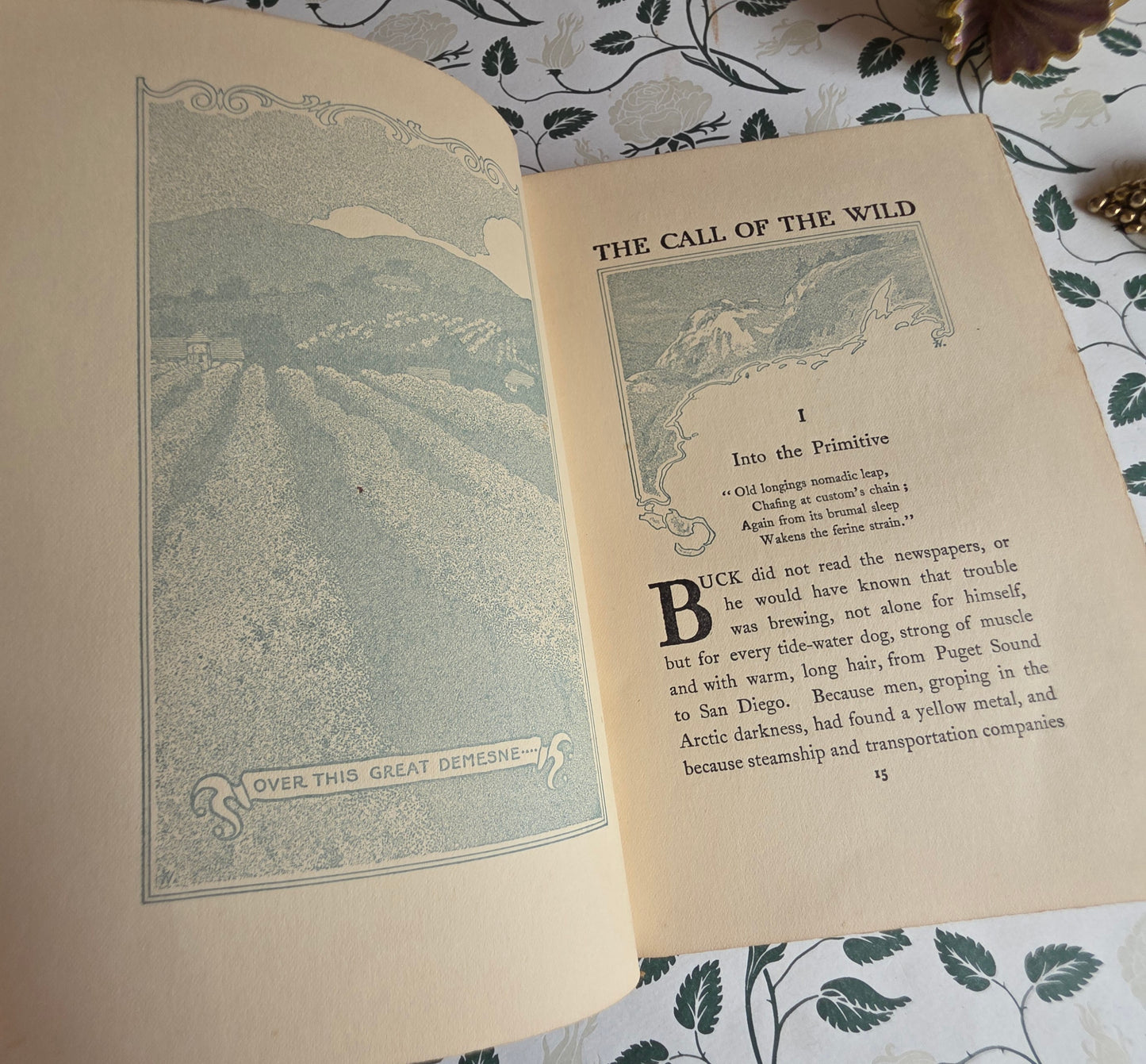 1903 The Call of The Wild by Jack London - SCARCE Early Edition - Illustrated Antique Book