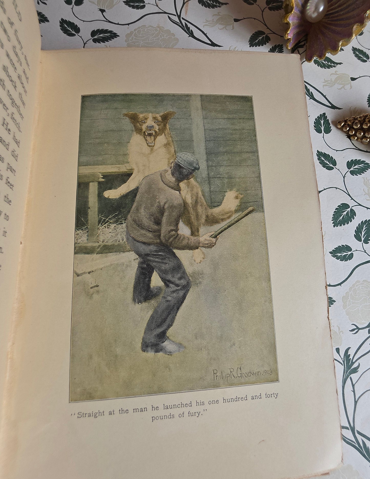 1903 The Call of The Wild by Jack London - SCARCE Early Edition - Illustrated Antique Book