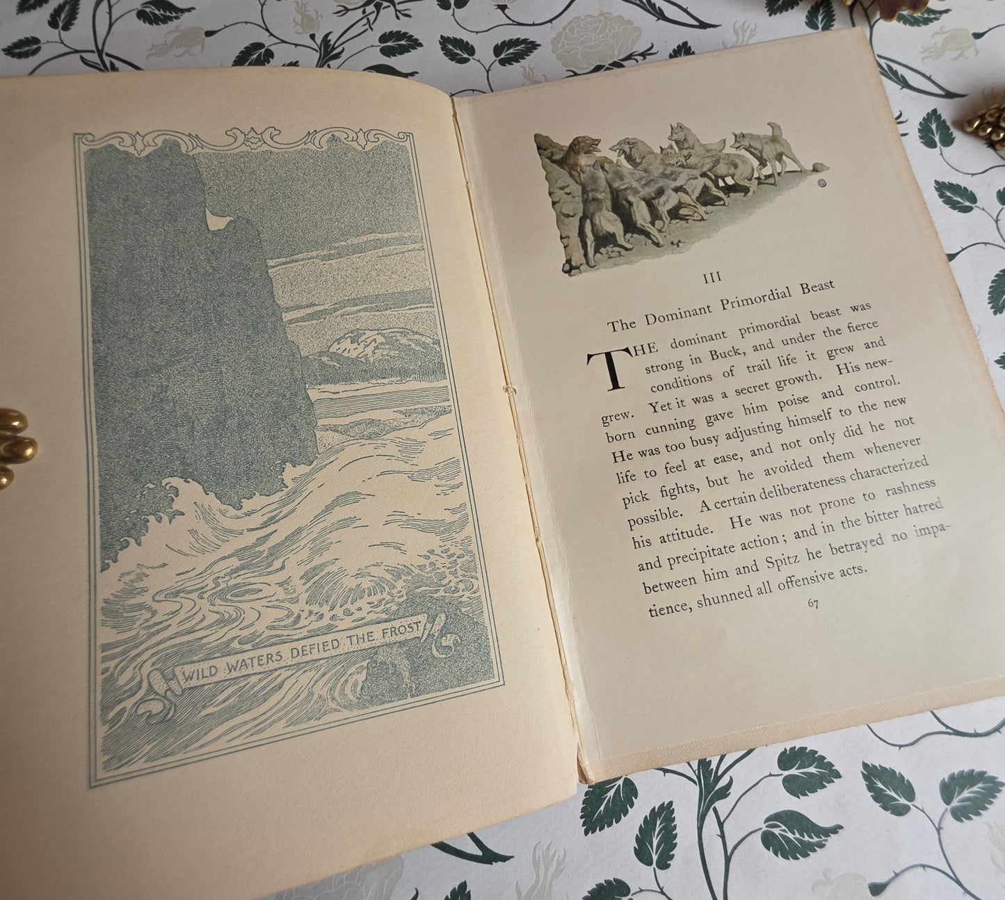 1903 The Call of The Wild by Jack London - SCARCE Early Edition - Illustrated Antique Book
