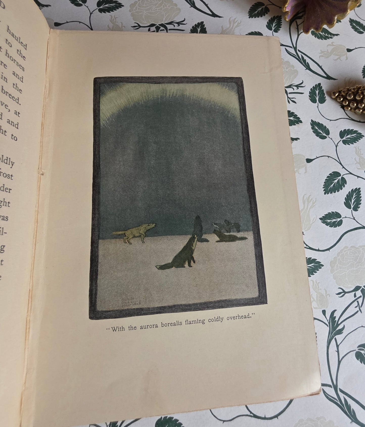 1903 The Call of The Wild by Jack London - SCARCE Early Edition - Illustrated Antique Book