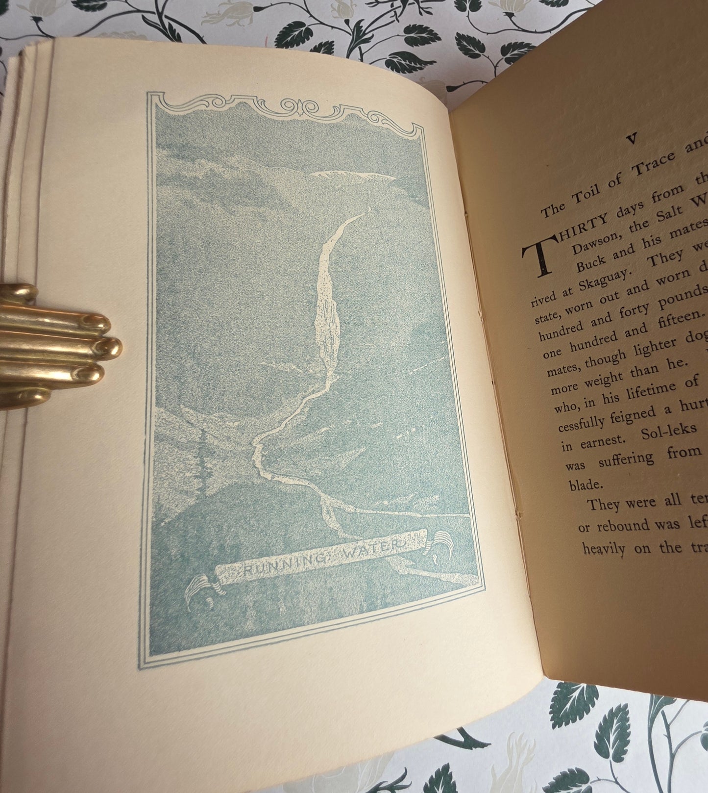 1903 The Call of The Wild by Jack London - SCARCE Early Edition - Illustrated Antique Book