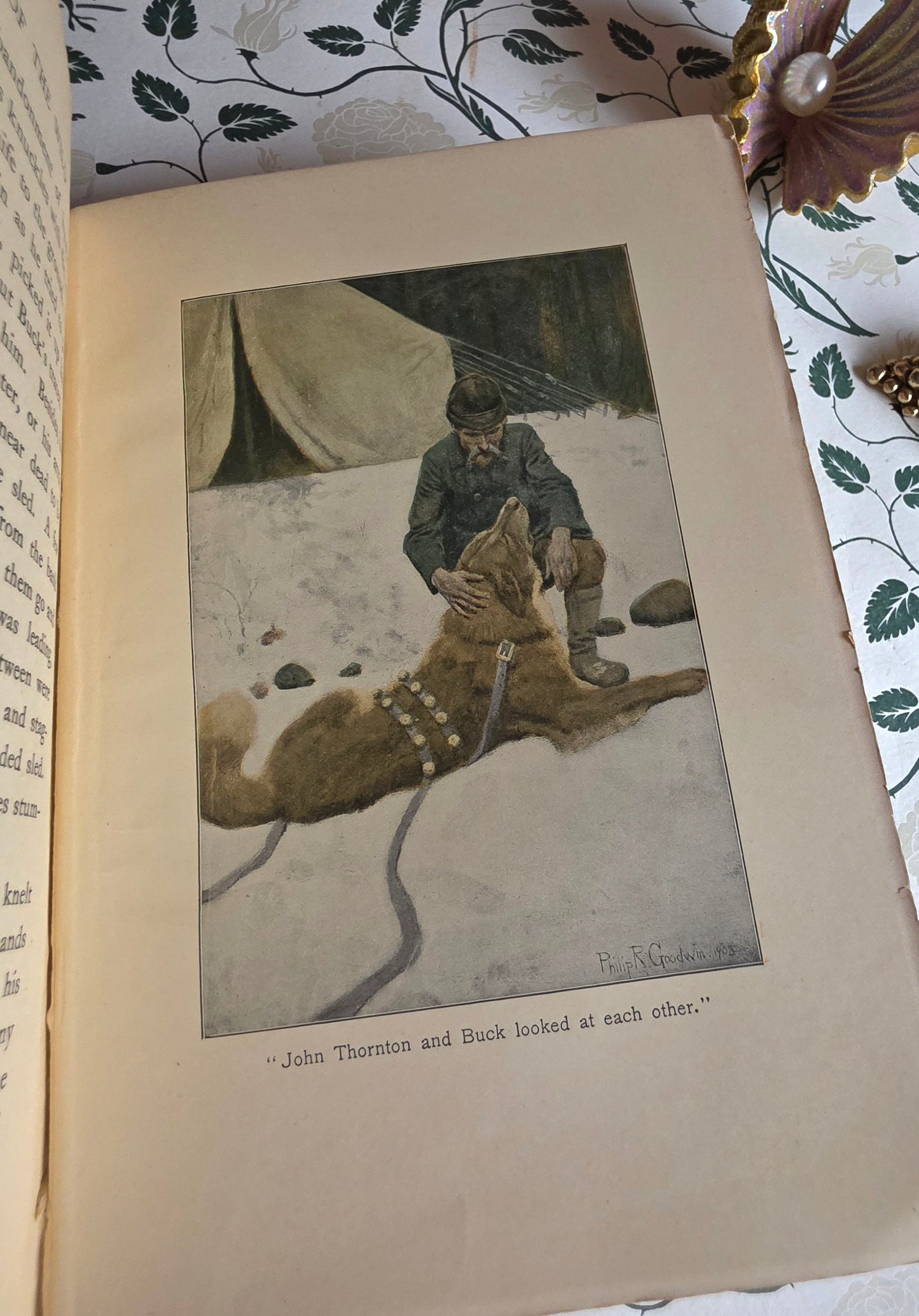 1903 The Call of The Wild by Jack London - SCARCE Early Edition - Illustrated Antique Book