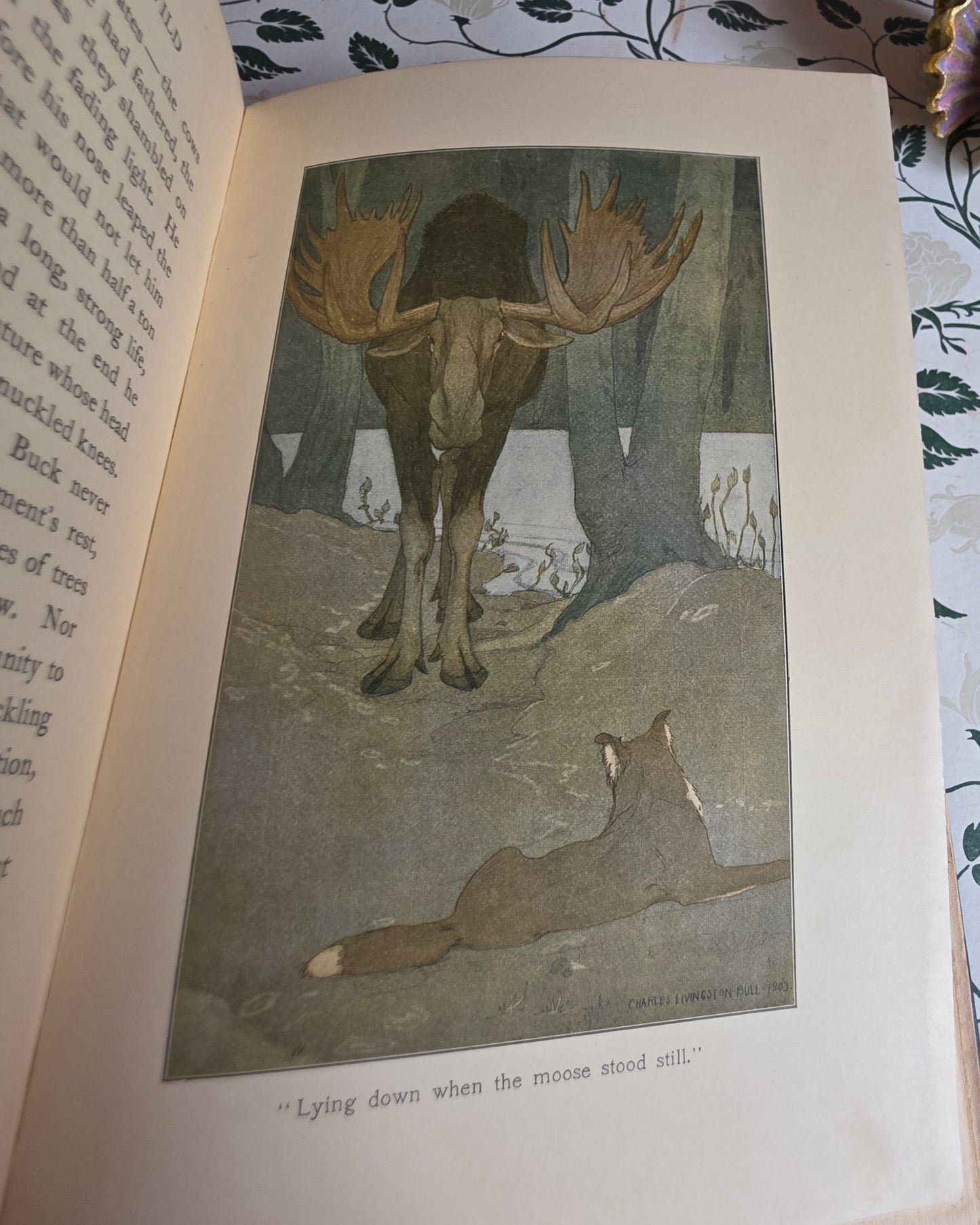 1903 The Call of The Wild by Jack London - SCARCE Early Edition - Illustrated Antique Book