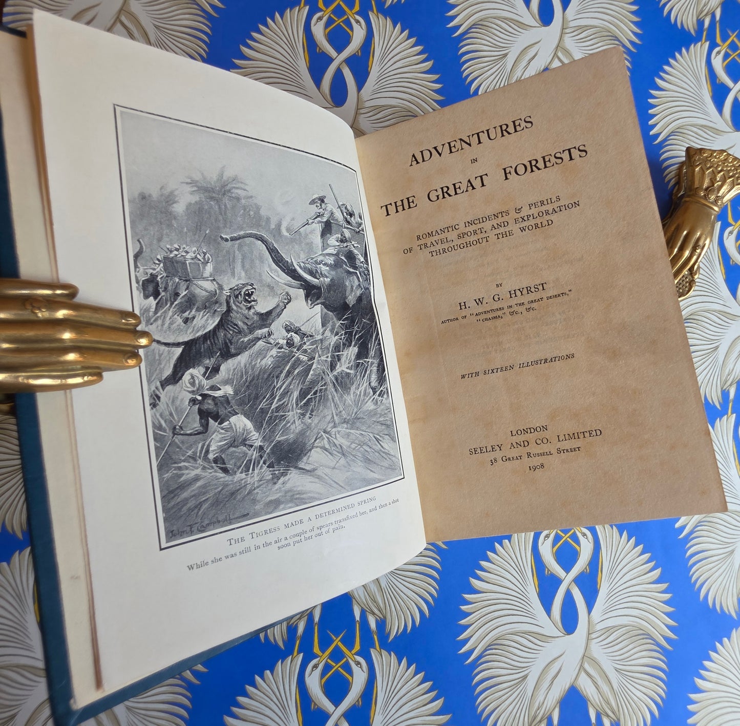 Adventures in The Great Forests - Scarce, Illustrated Antique Book