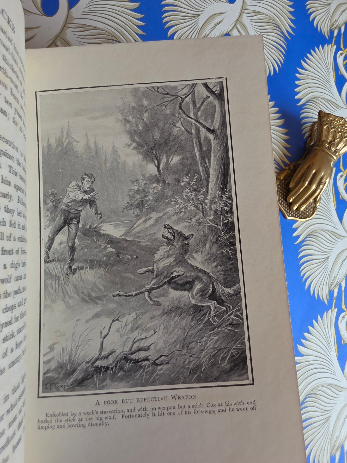Adventures in The Great Forests - Scarce, Illustrated Antique Book