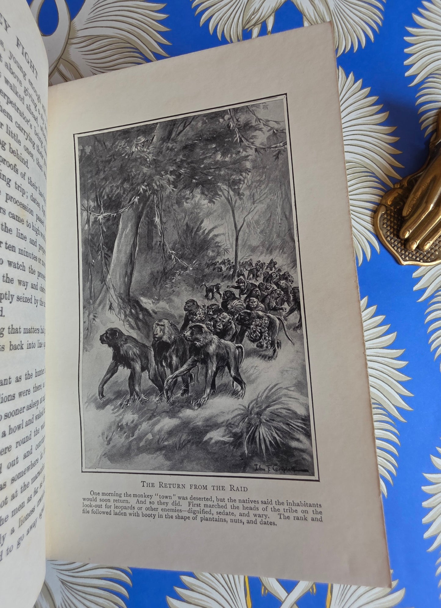 Adventures in The Great Forests - Scarce, Illustrated Antique Book