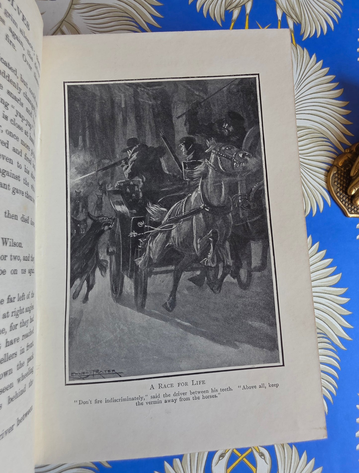 Adventures in The Great Forests - Scarce, Illustrated Antique Book