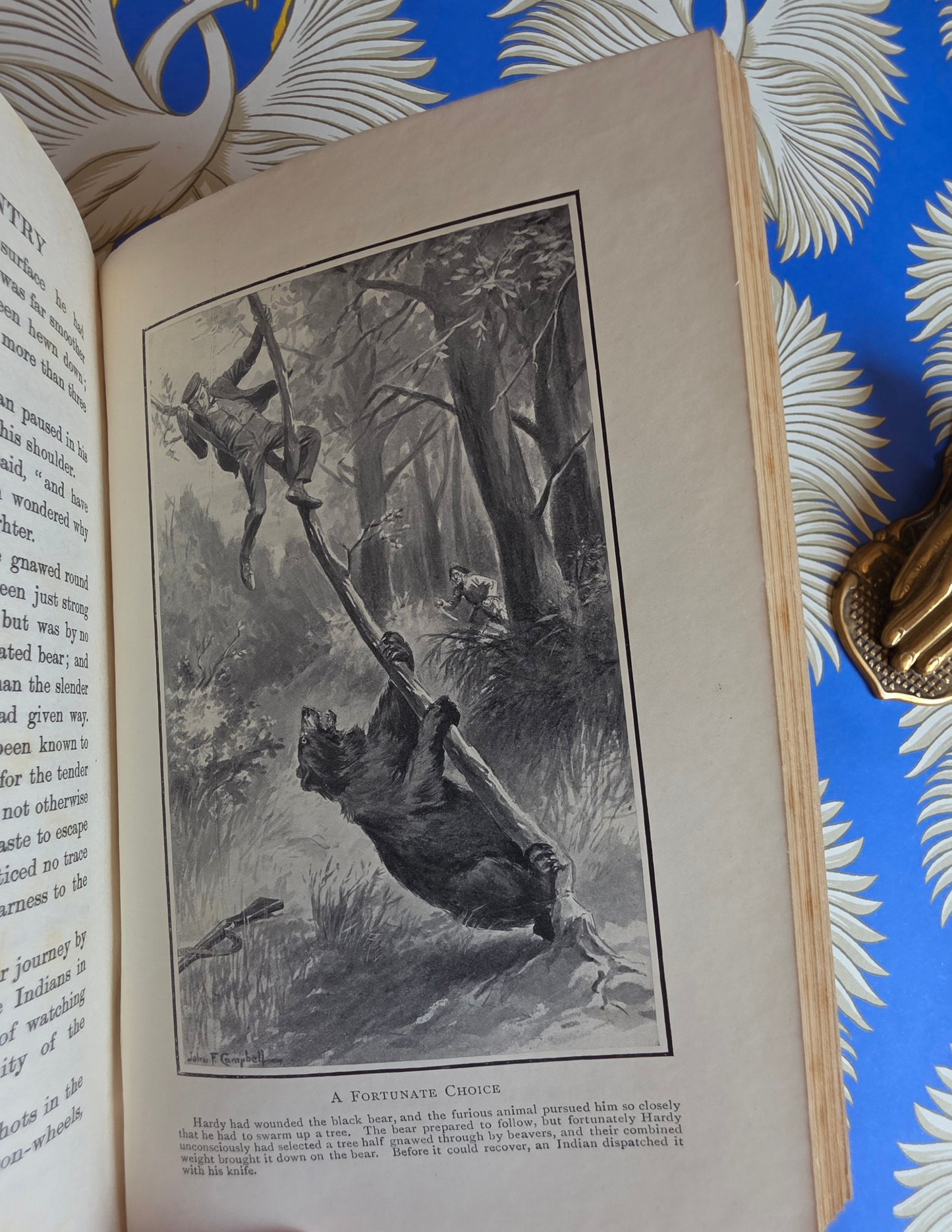 Adventures in The Great Forests - Scarce, Illustrated Antique Book
