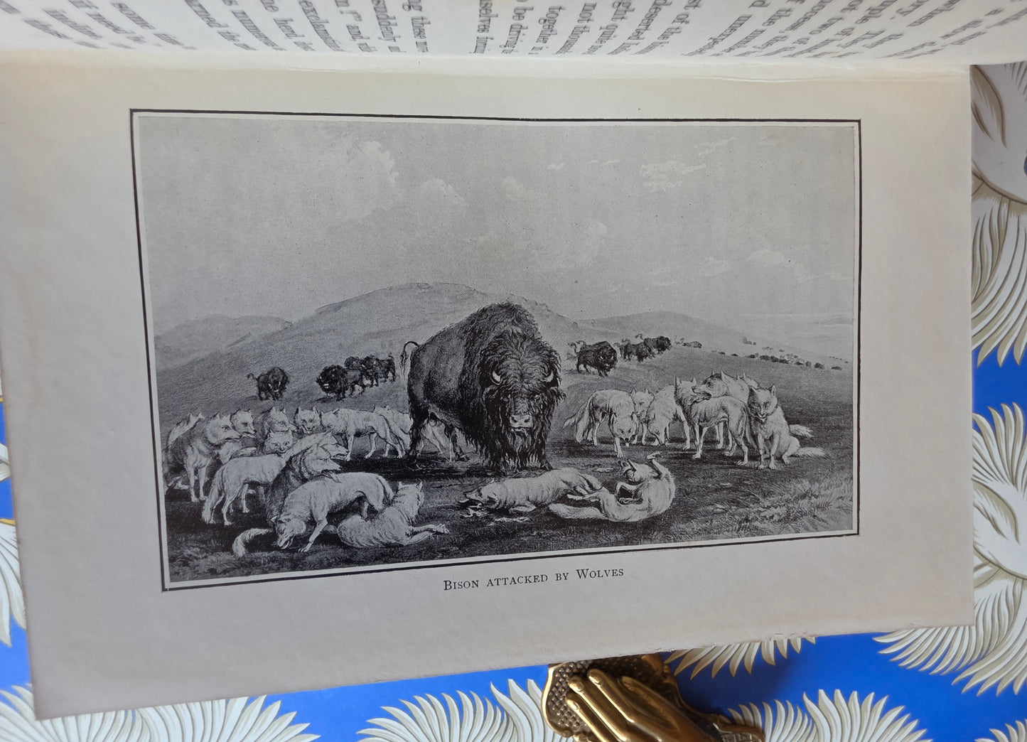 Adventures in The Great Deserts - Scarce, Illustrated Antique Book