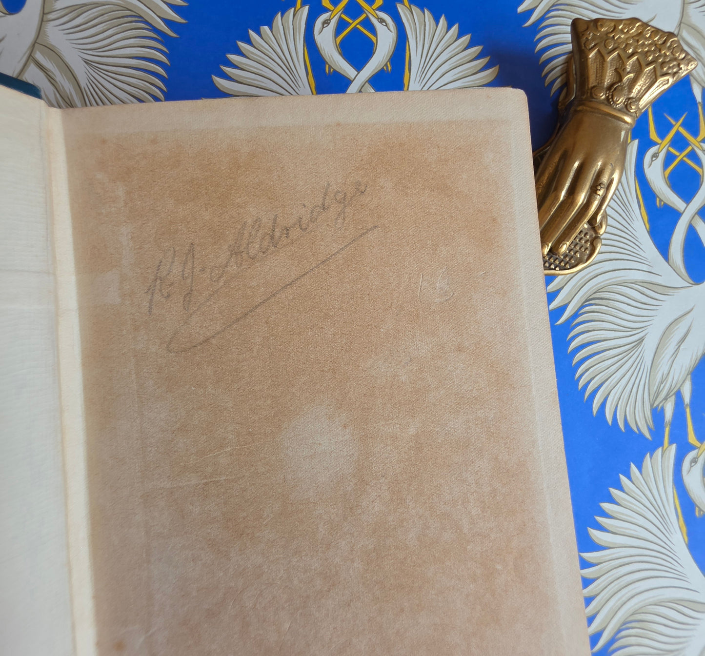 1913 Adventures in Southern Seas - Scarce, Illustrated Antique Book