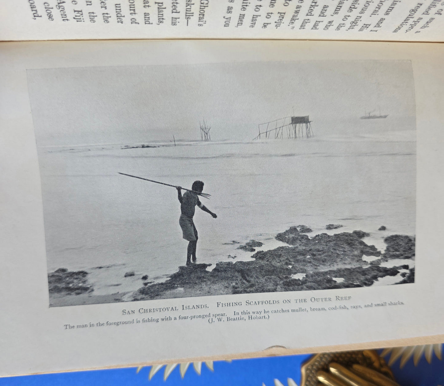 1913 Adventures in Southern Seas - Scarce, Illustrated Antique Book