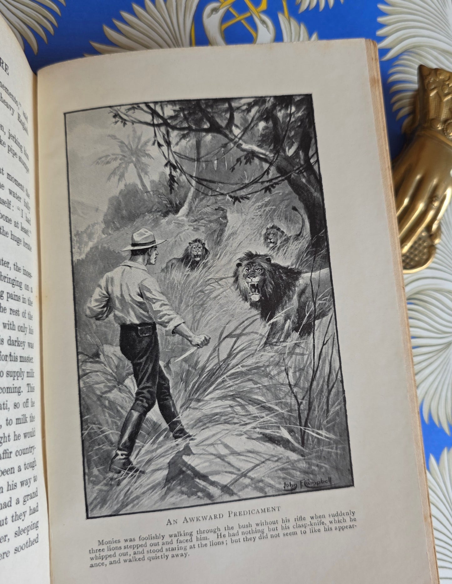 1913 Adventures in Southern Seas - Scarce, Illustrated Antique Book