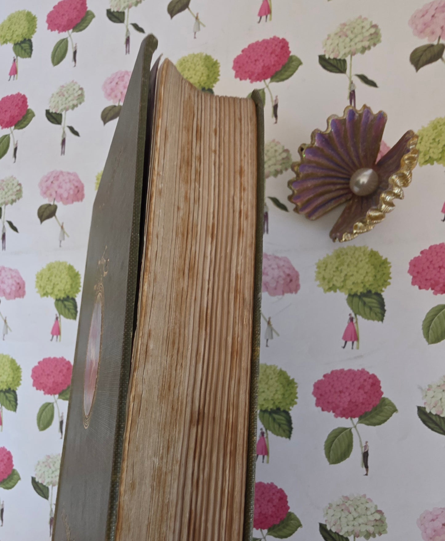 1910 Persuasion by Jane Austen: Illustrated Antique Book