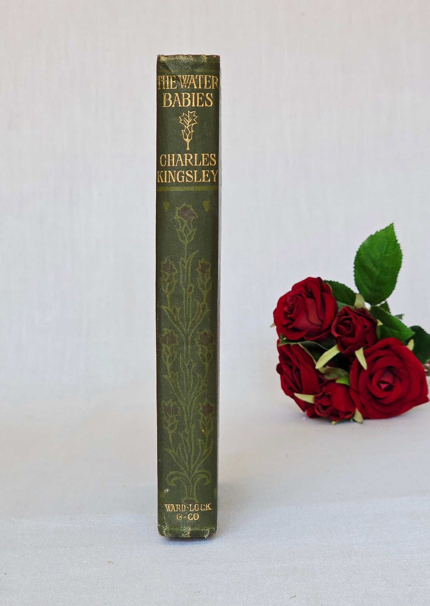 c1906 The Water Babies by Charles Kingsley - Antique Book
