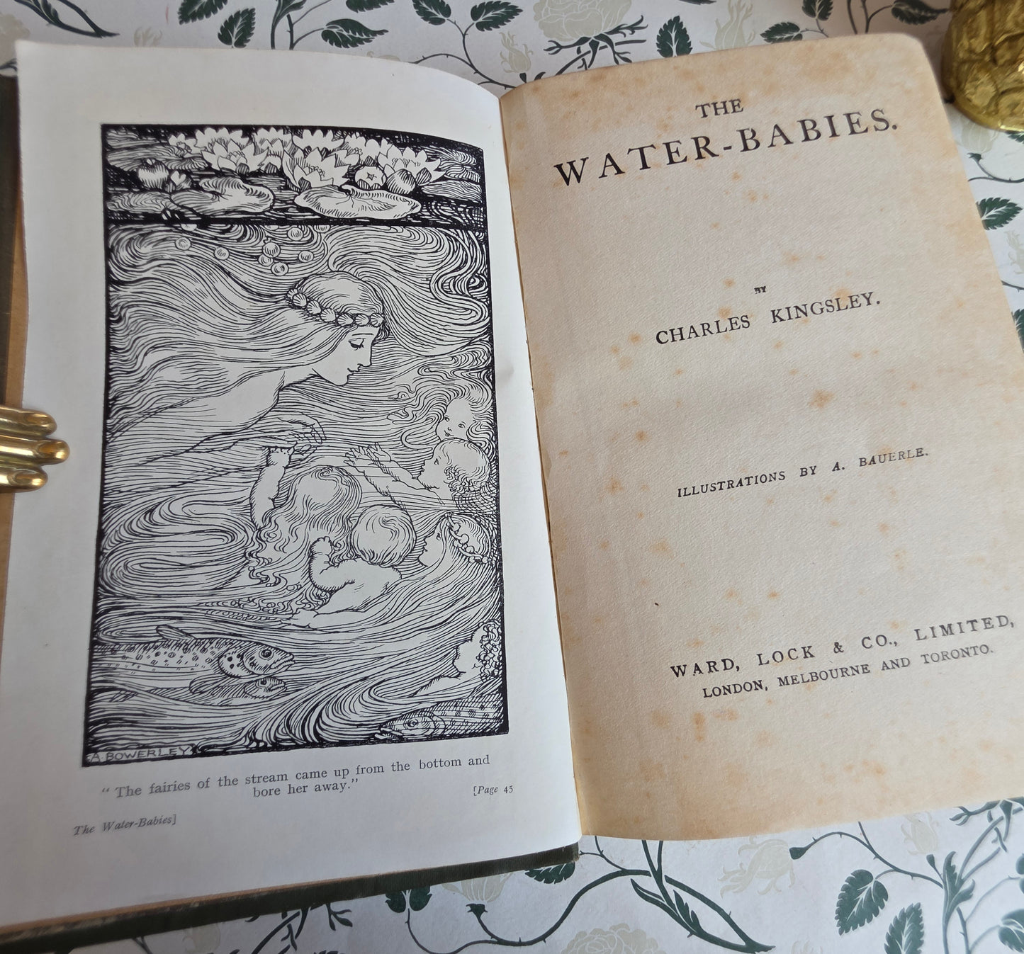 c1906 The Water Babies by Charles Kingsley - Antique Book