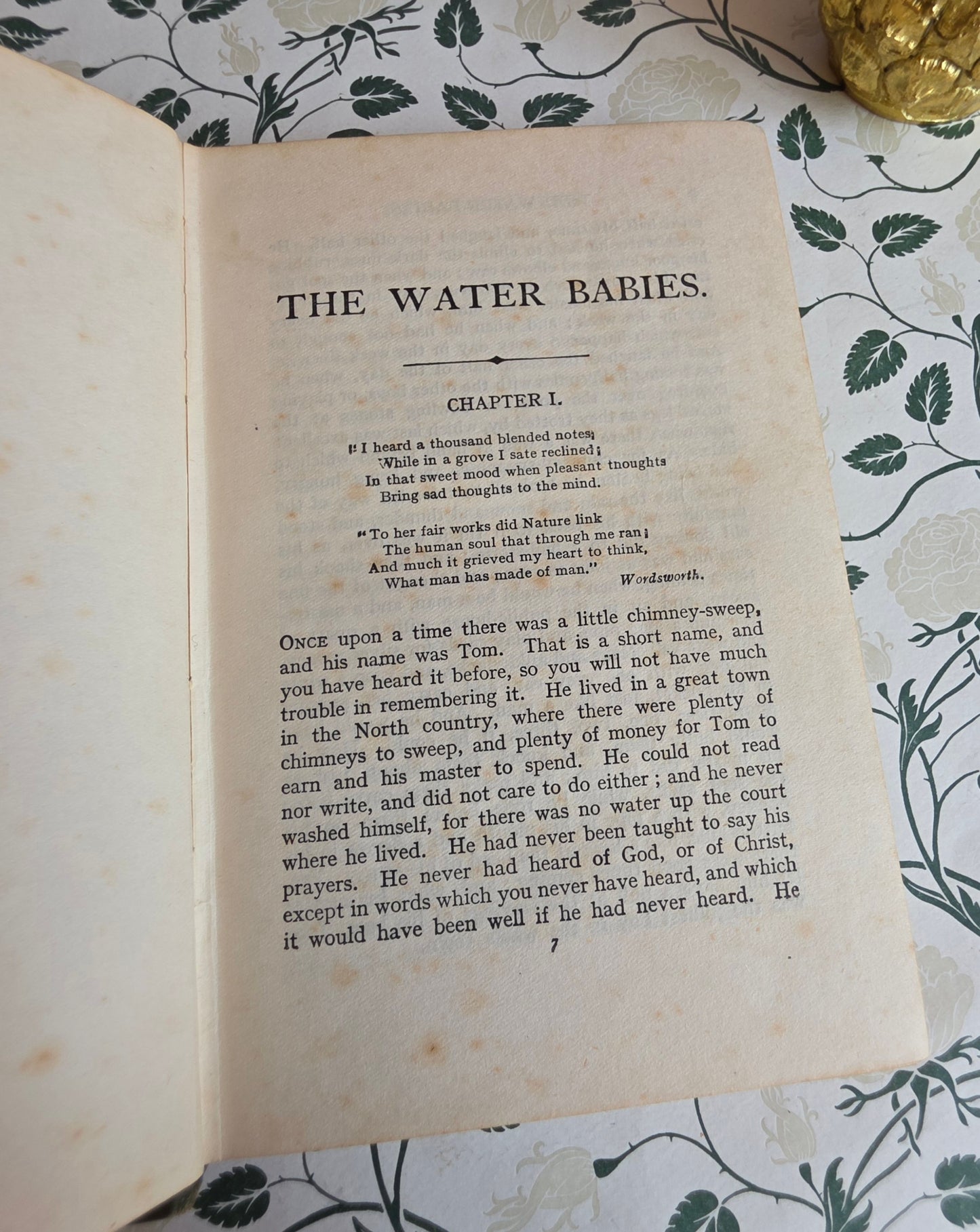 c1906 The Water Babies by Charles Kingsley - Antique Book