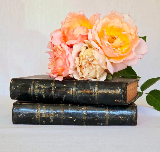 1866 New Cyclopaedia of Botany and Complete Book of Herbs by Richard Brook - Illustrated Antique Book