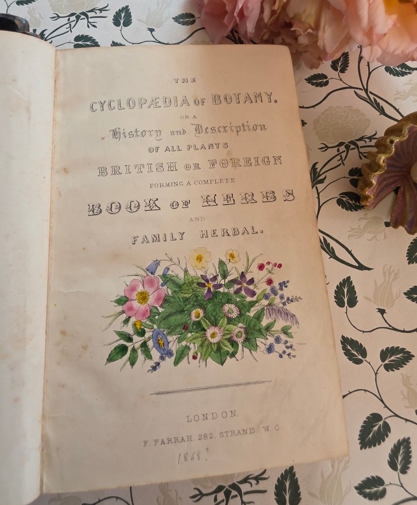 1866 New Cyclopaedia of Botany and Complete Book of Herbs by Richard Brook - Illustrated Antique Book