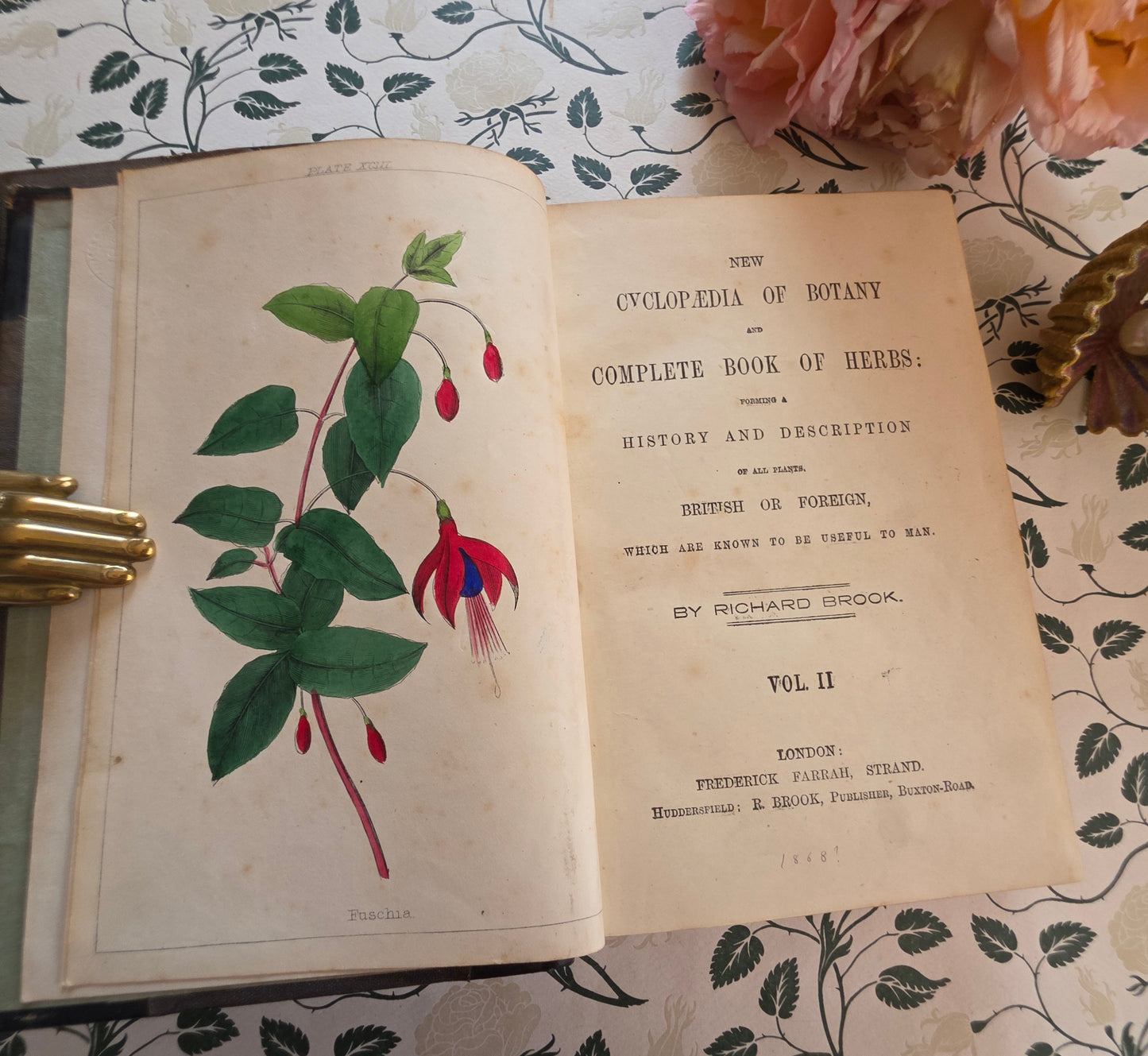 1866 New Cyclopaedia of Botany and Complete Book of Herbs by Richard Brook - Illustrated Antique Book