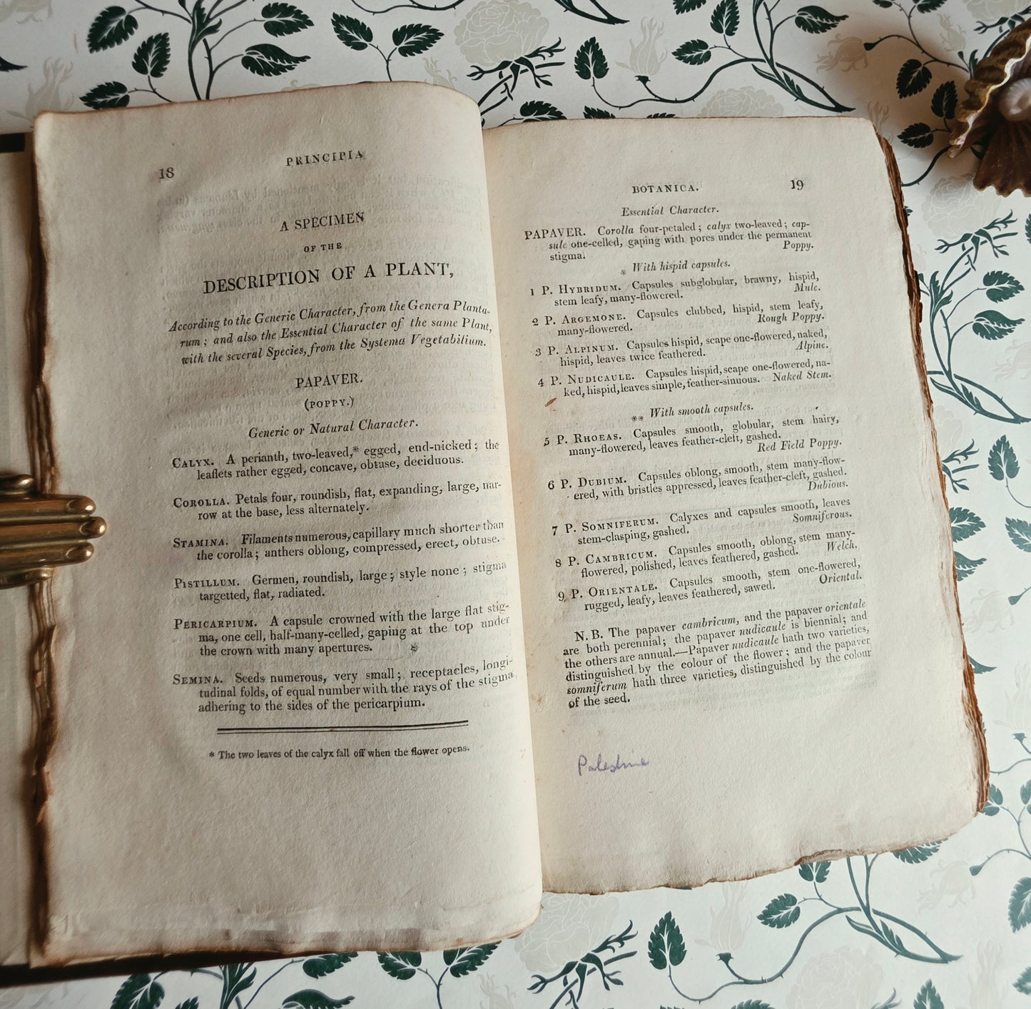 Scarce - Principia Botanica by Robert Waring Darwin - Antique Book