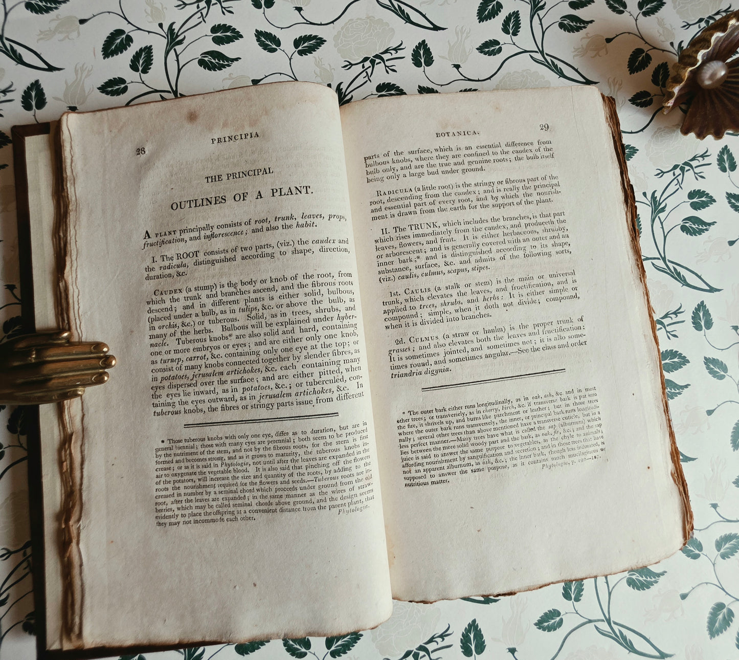 Scarce - Principia Botanica by Robert Waring Darwin - Antique Book