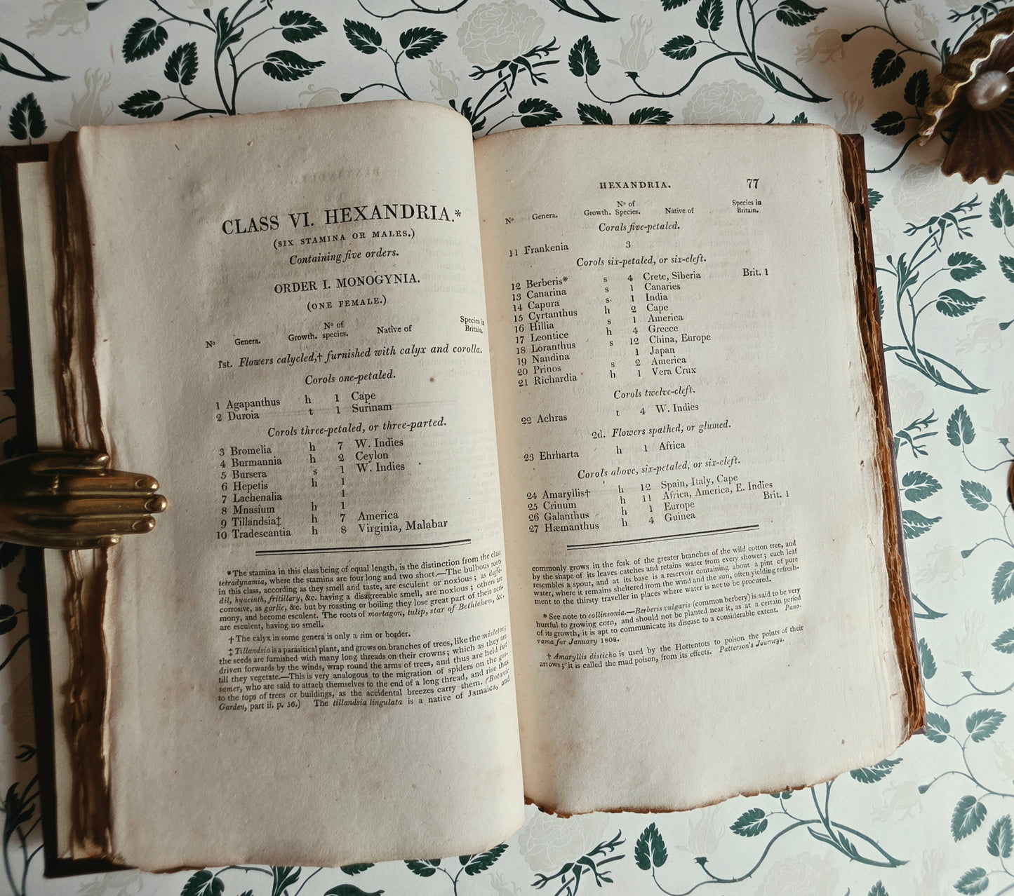 Scarce - Principia Botanica by Robert Waring Darwin - Antique Book